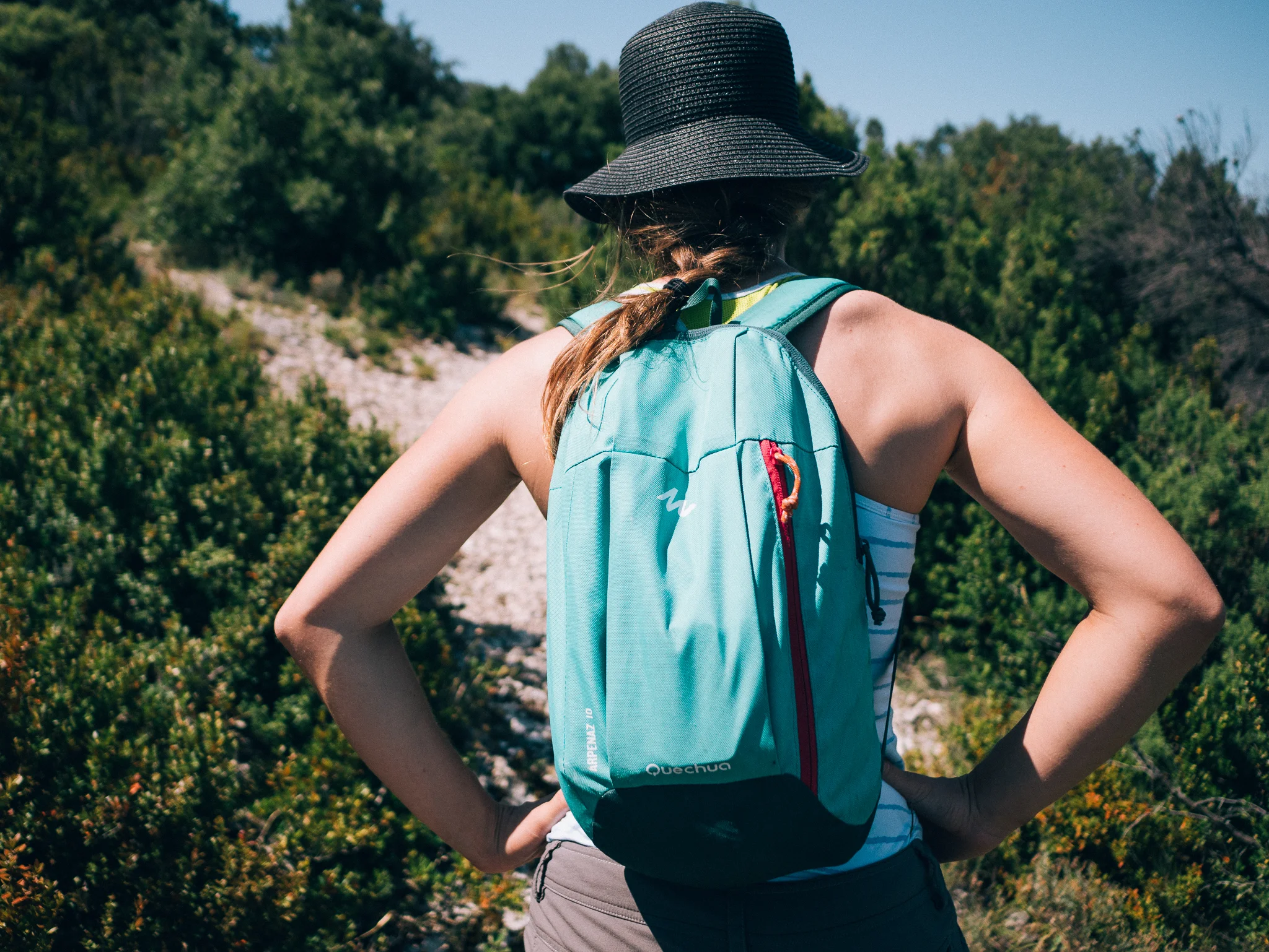 P1070701.jpg