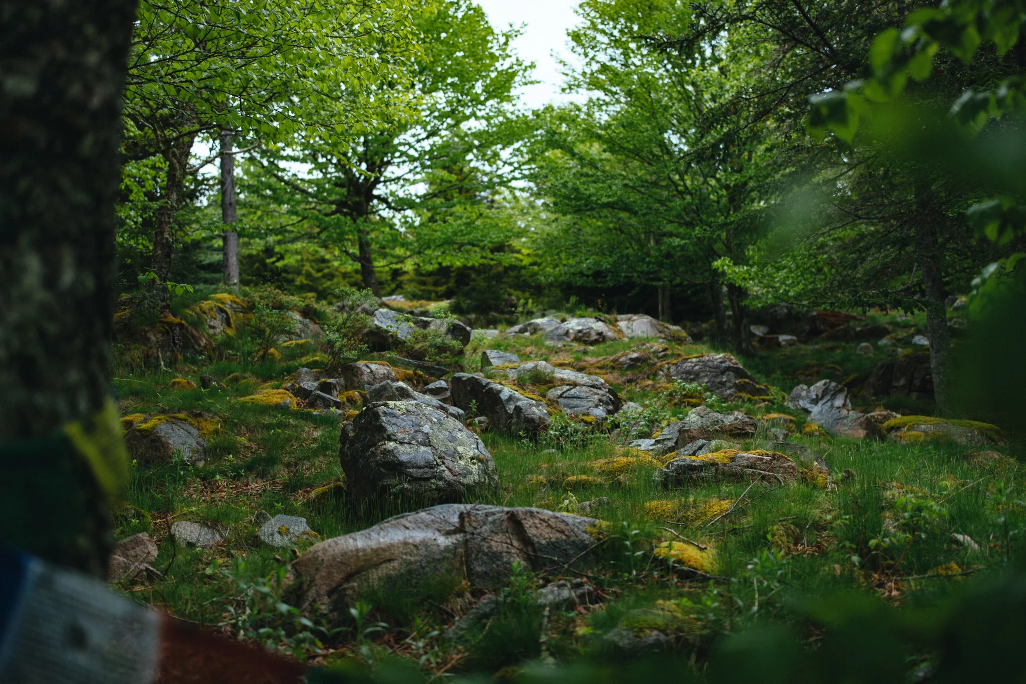 B78I2499.jpg