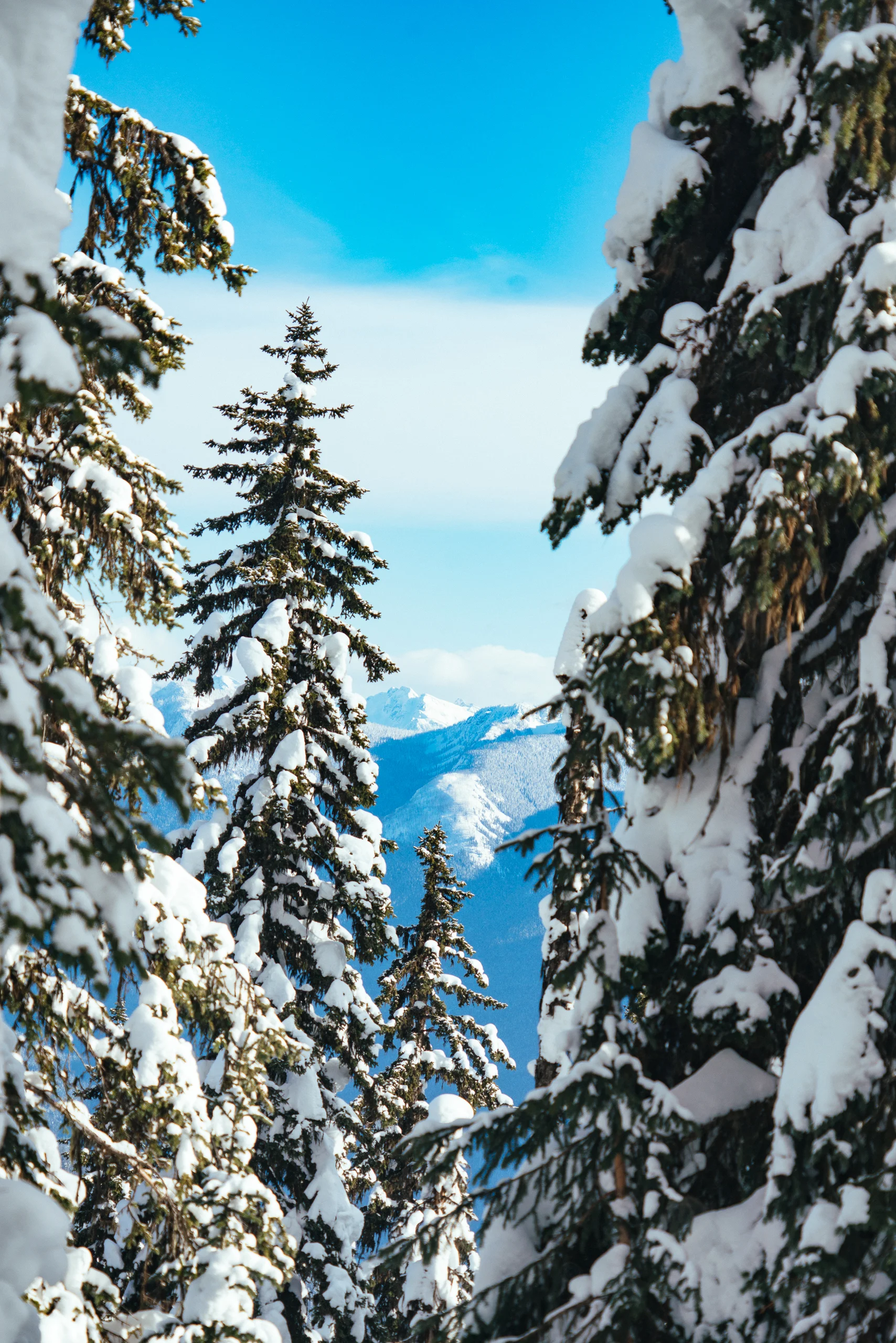 AWL06838.jpg