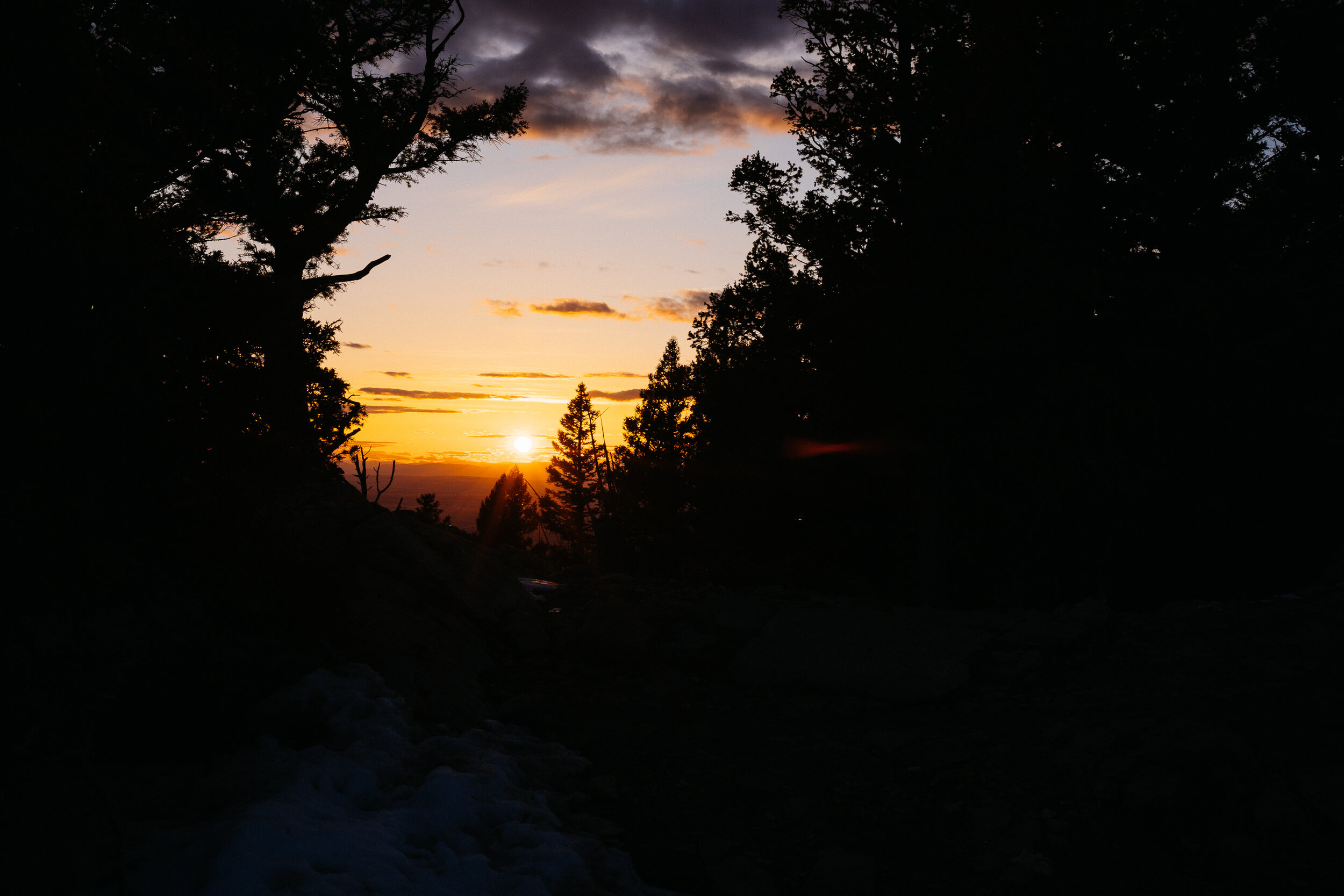 DSC02922.jpg
