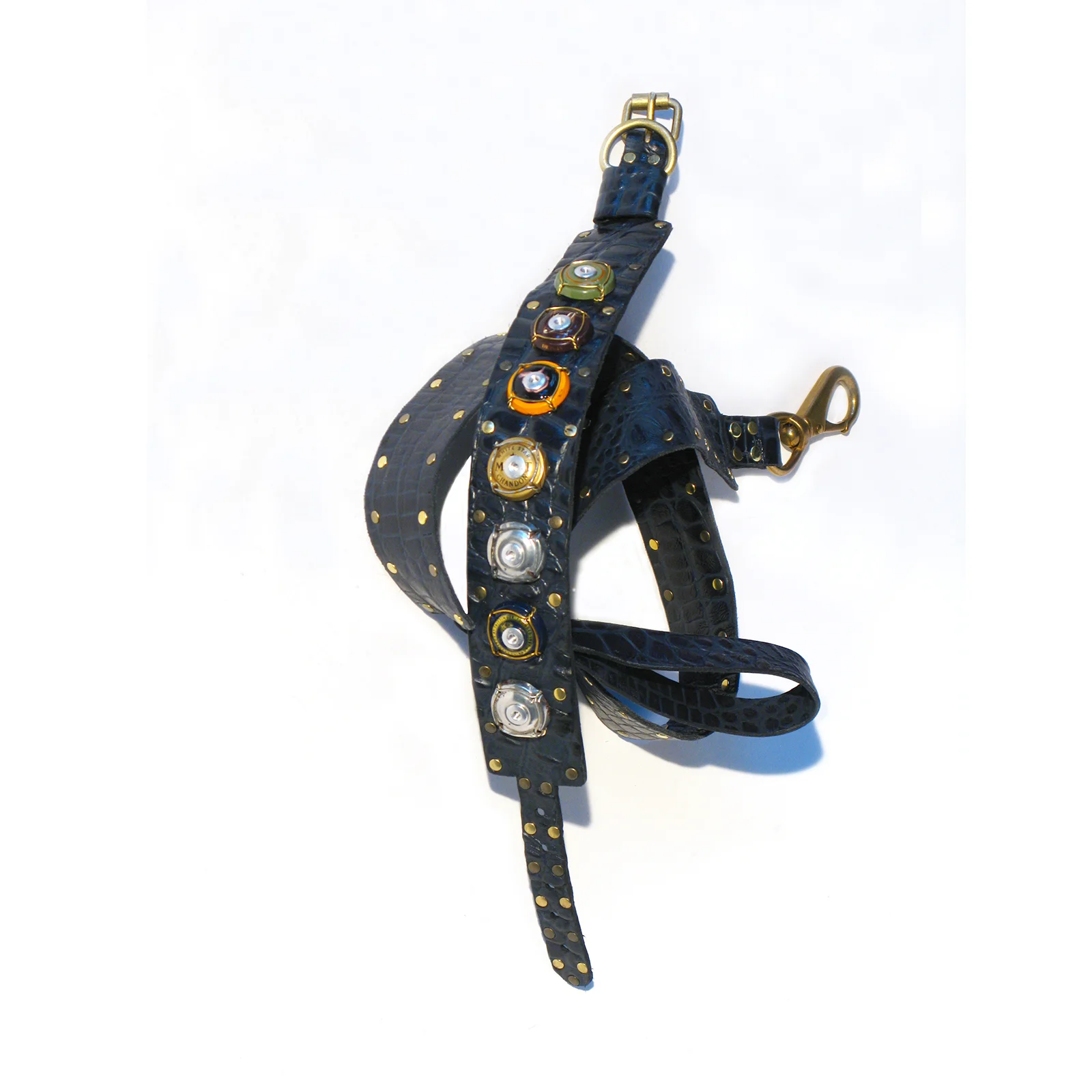 Lebuck leash & collars.