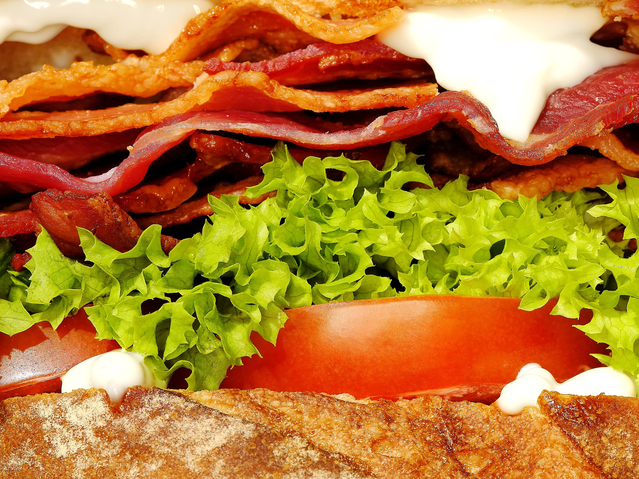 BLT Macro Web.jpg
