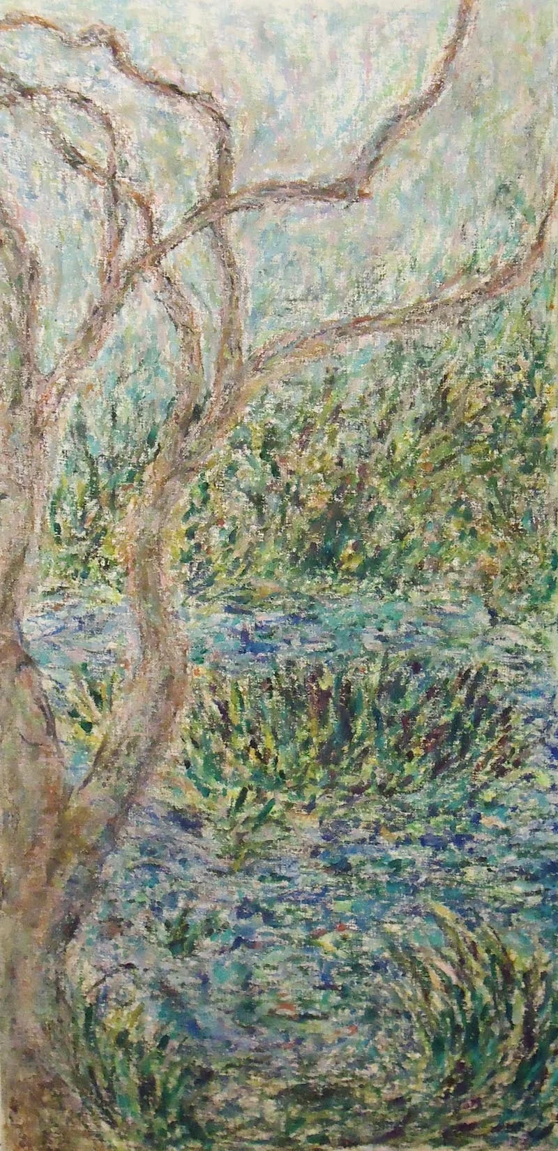 beech forest pond web.jpg