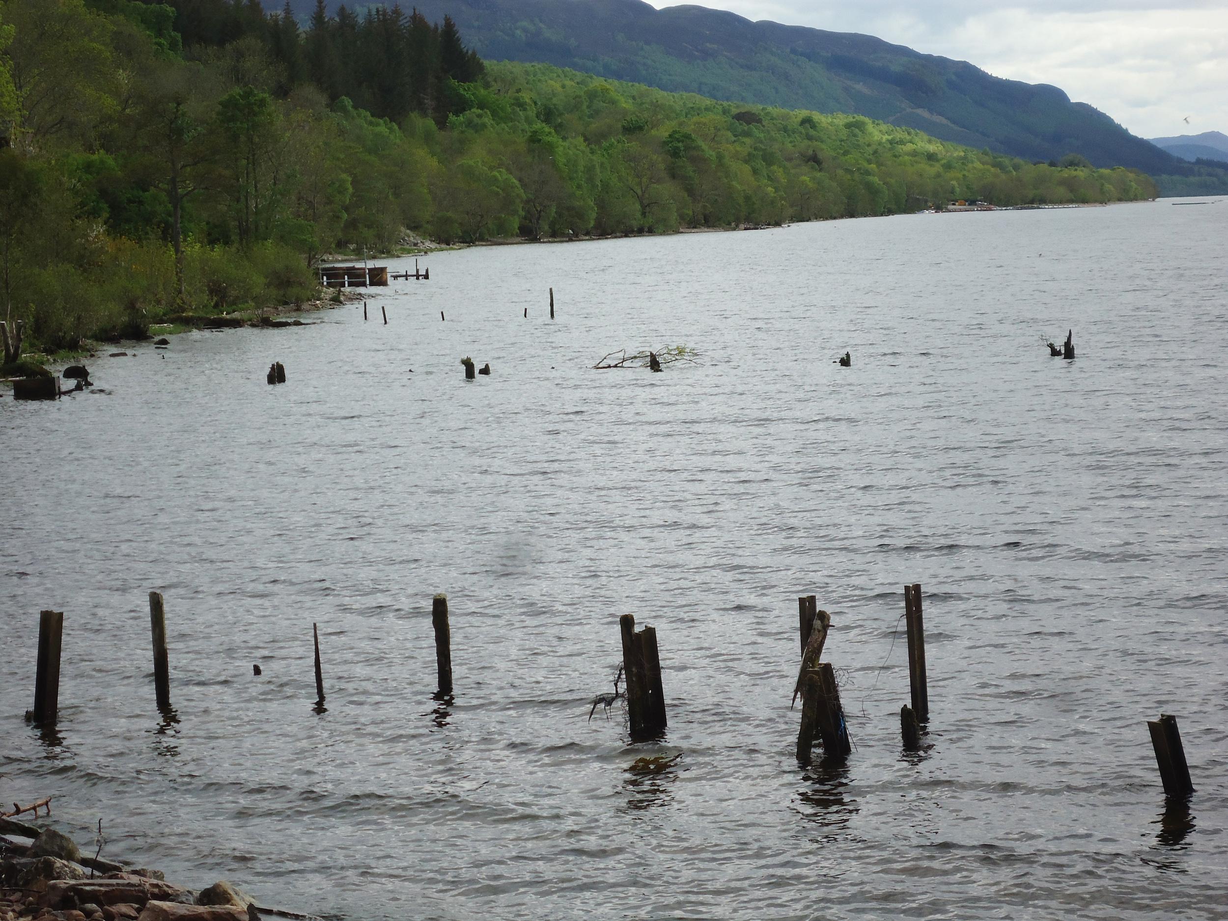 loch ness 2.jpg