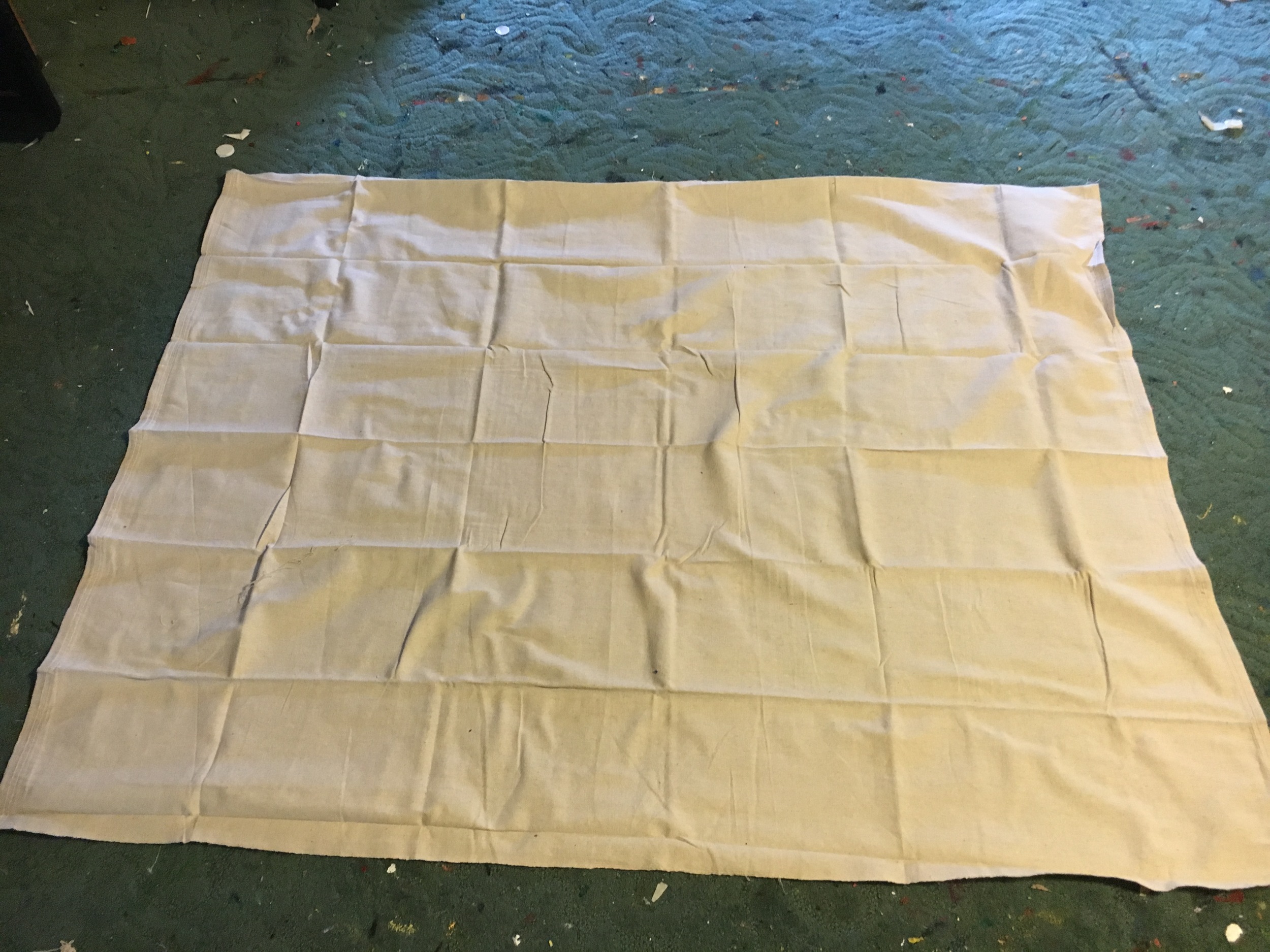the starting point... a 4' x5' canvas