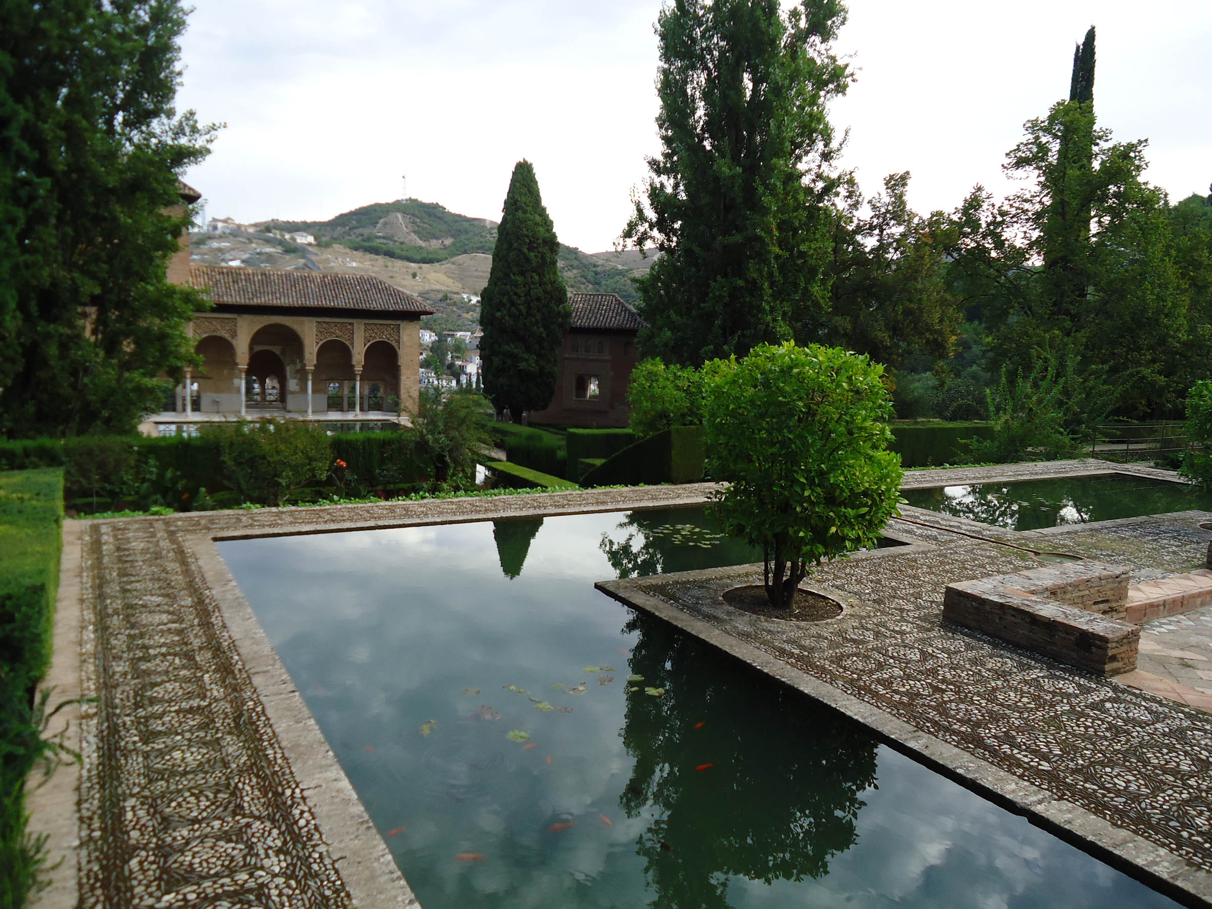 alhambra garden 2.jpg