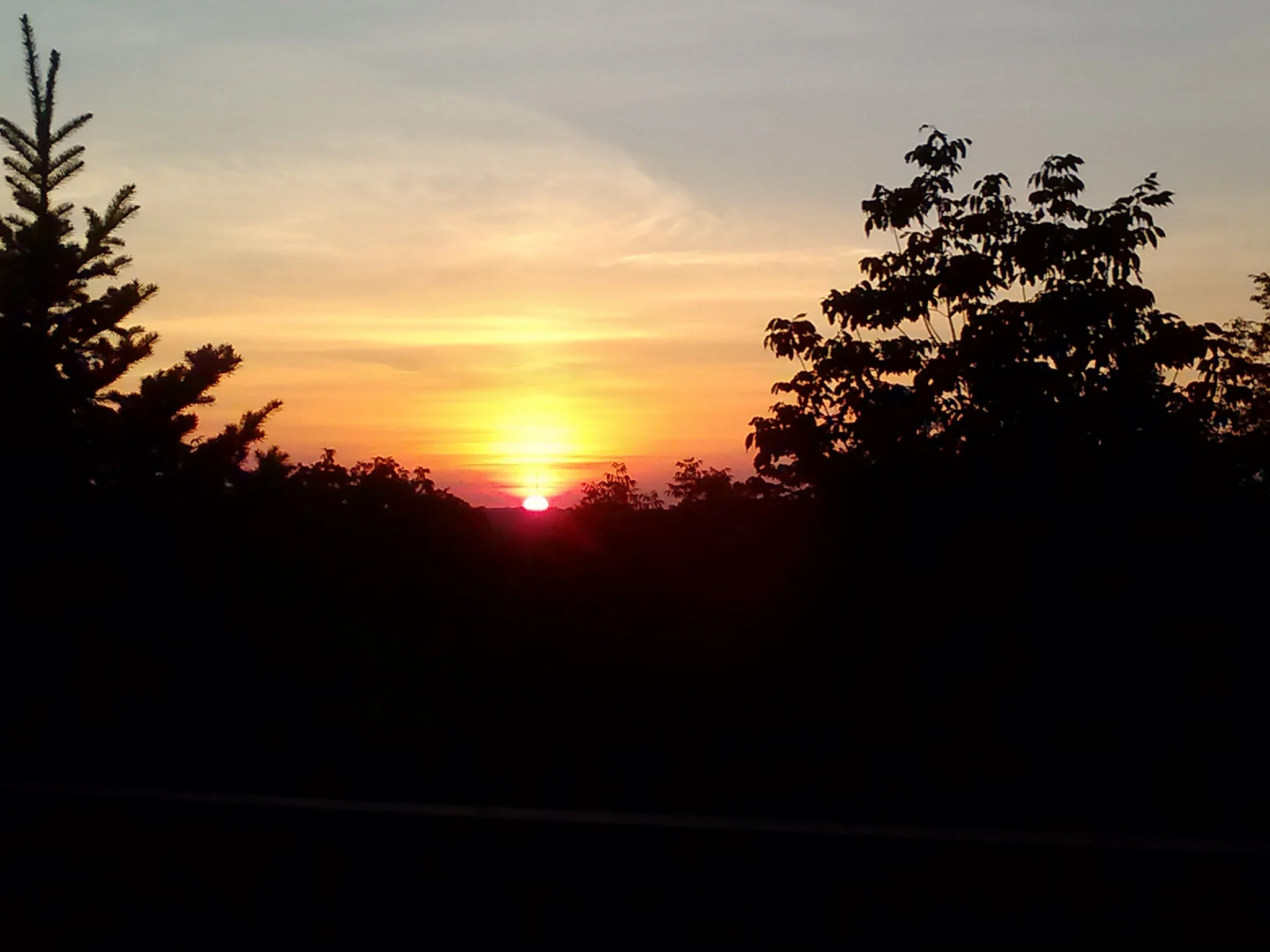 0825132005.jpg