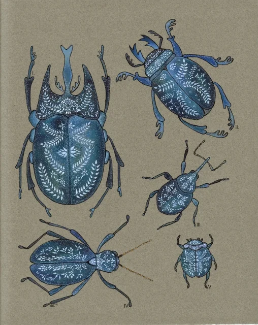 bugs and numbers 001 (508x640).jpg