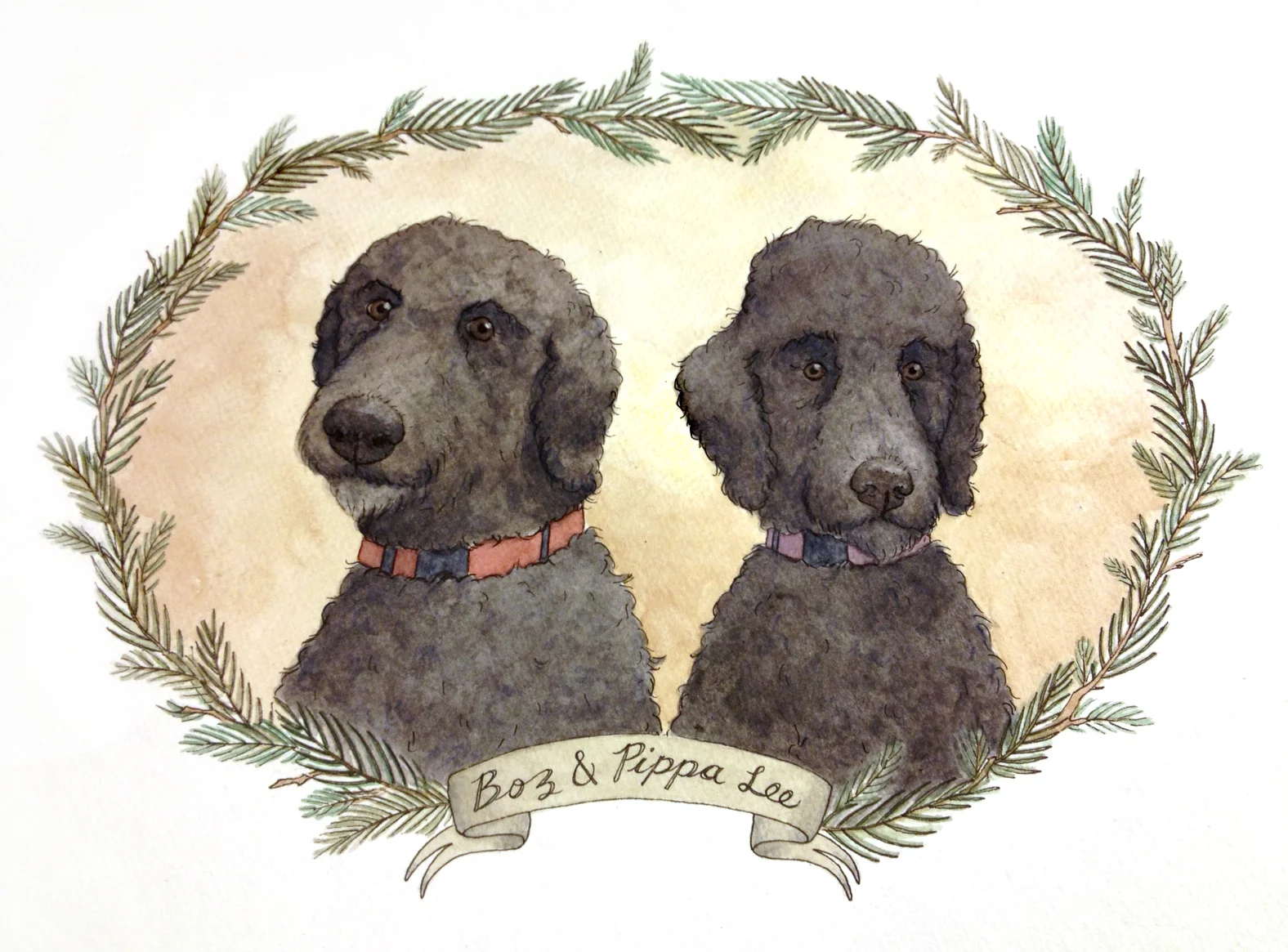 poodles.jpg
