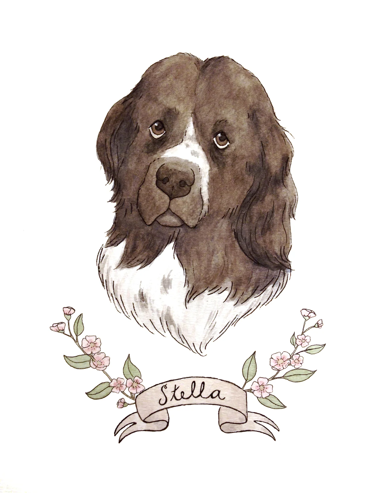stella.jpg