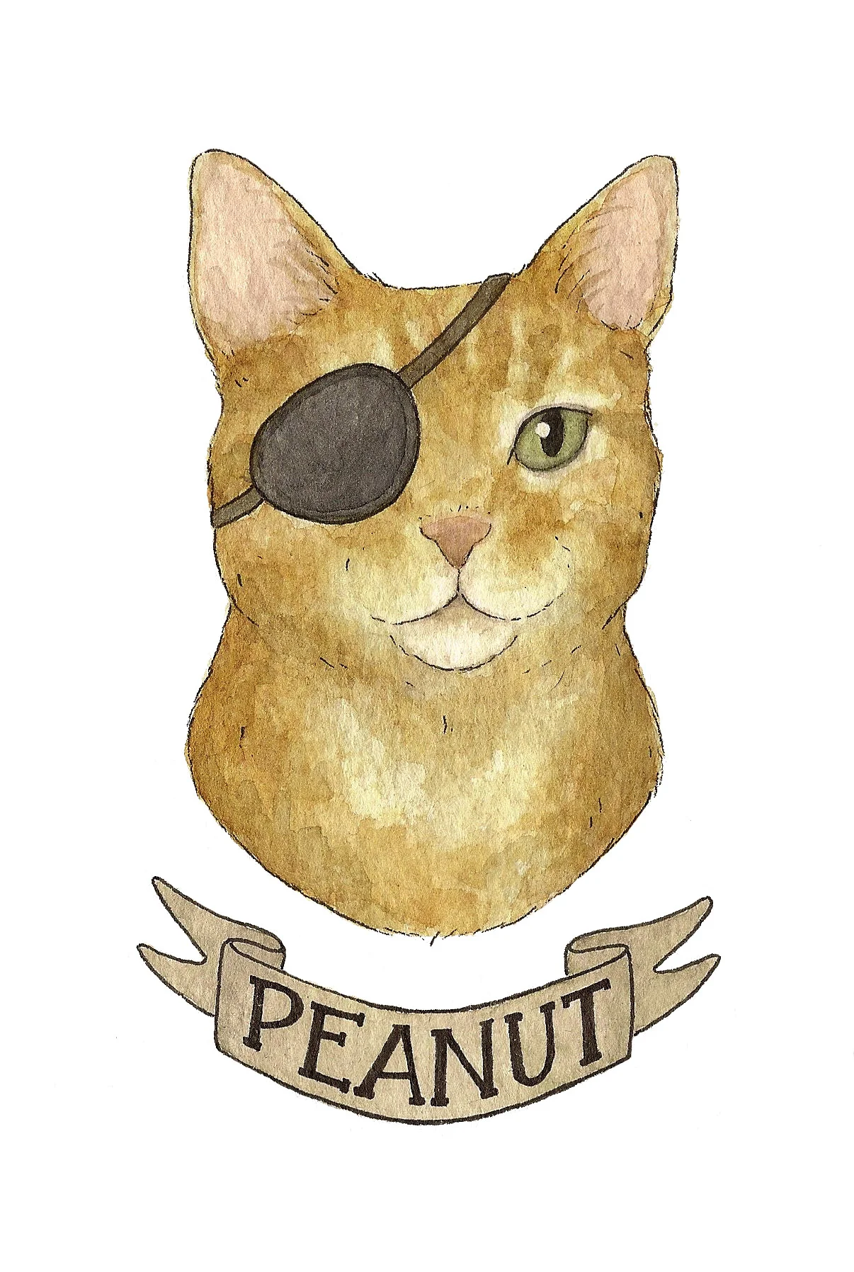 peanut.jpg