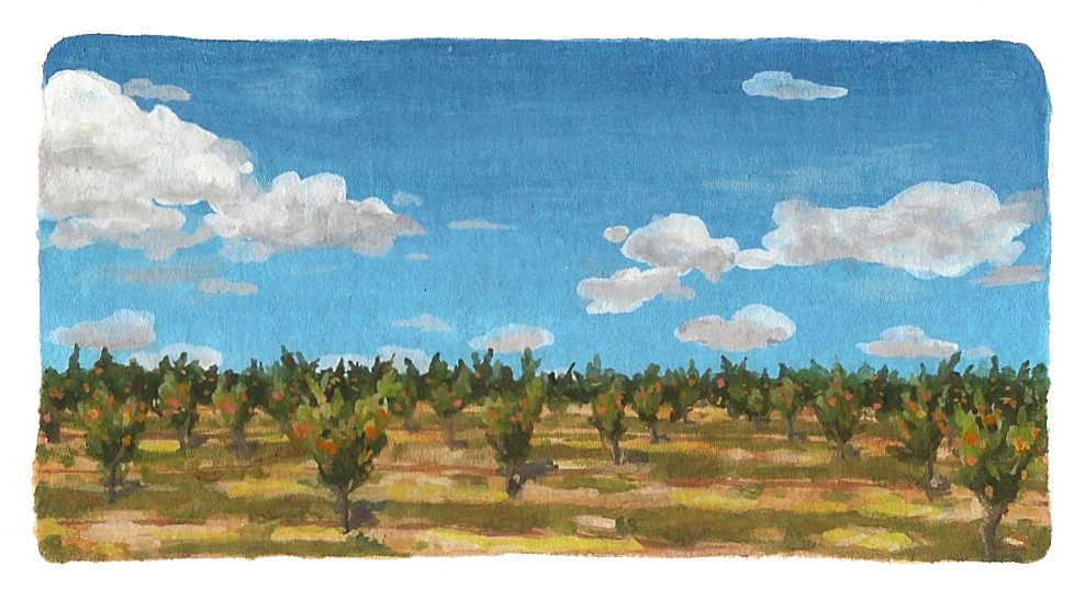 Spanish Orchard