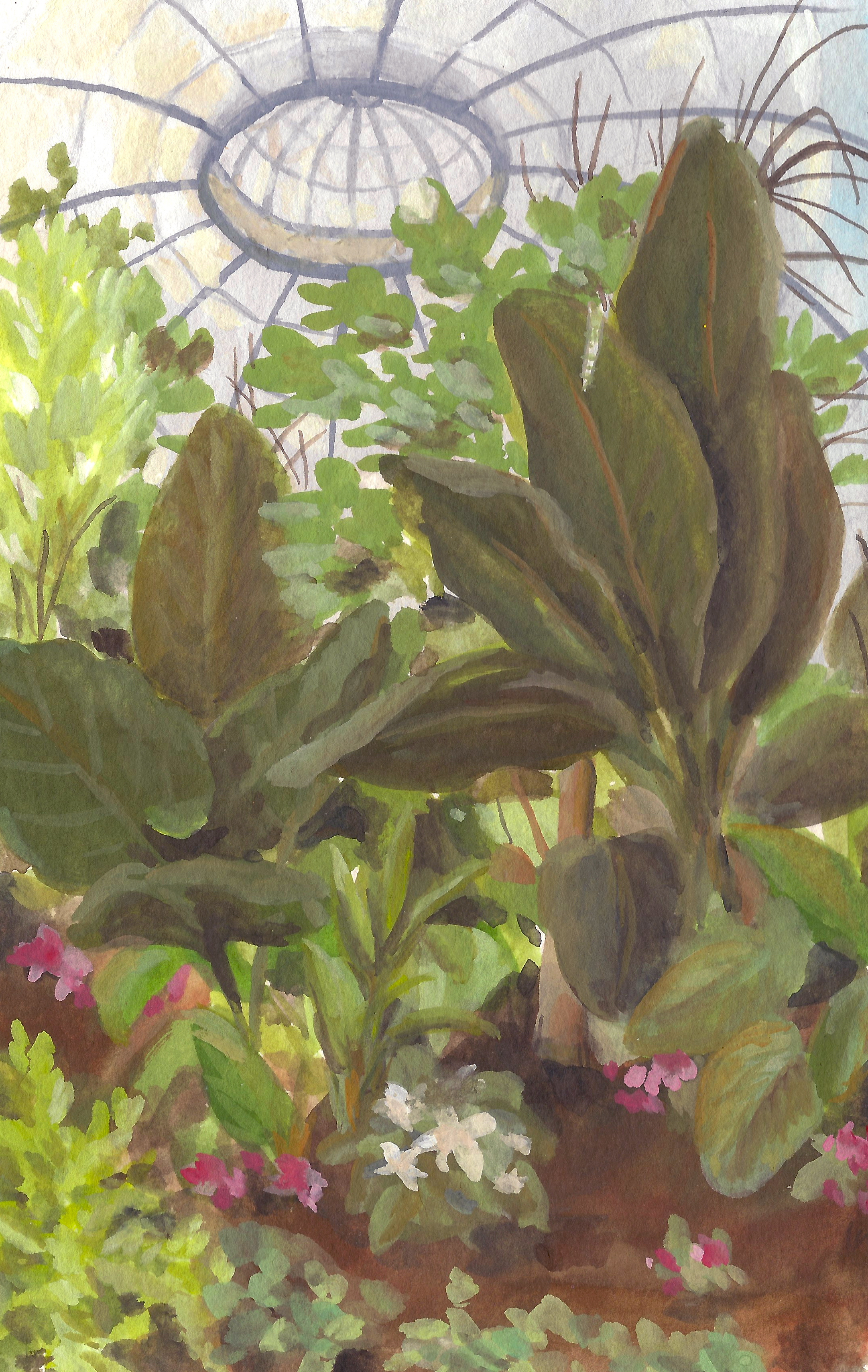 allenconservatory.jpg