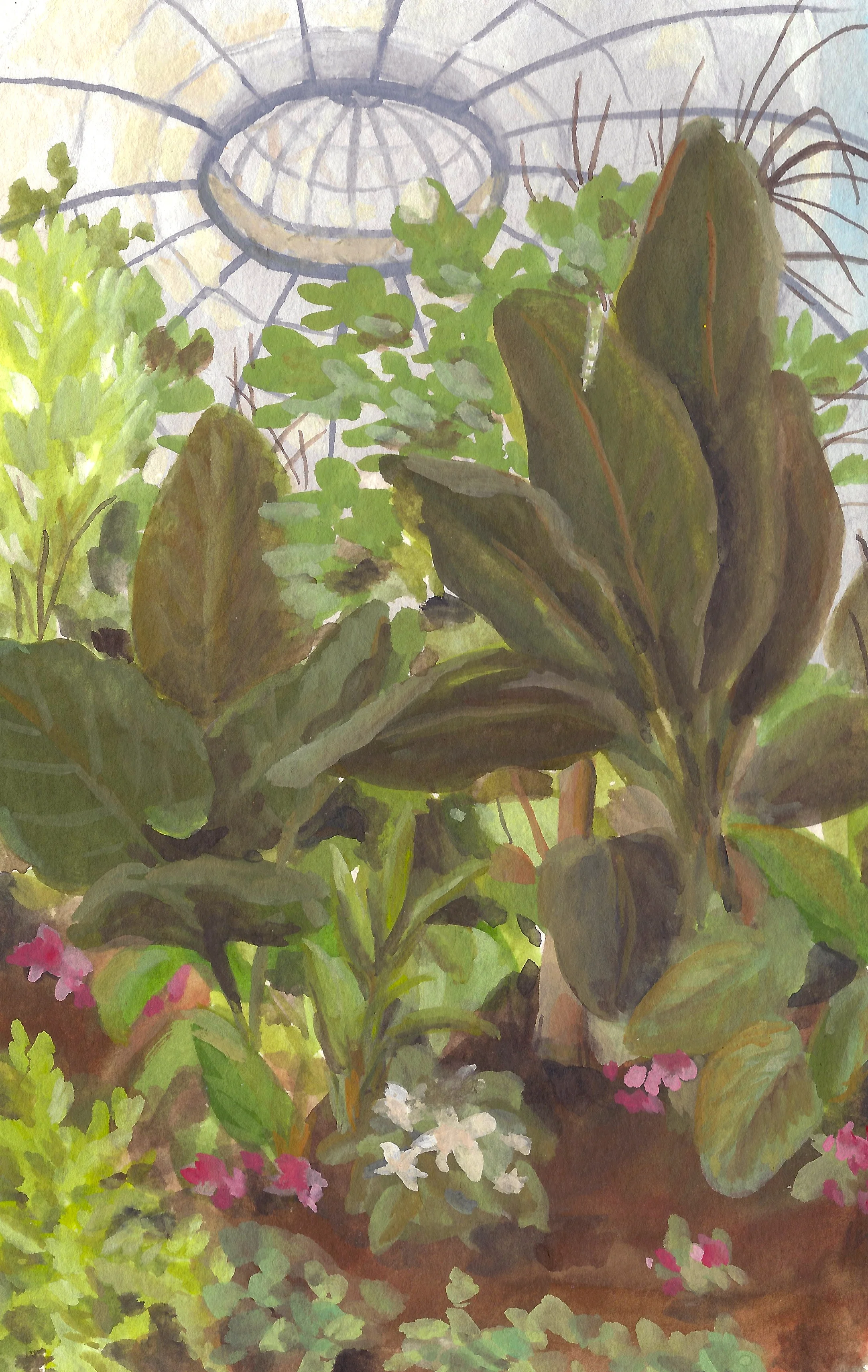 allenconservatory.jpg