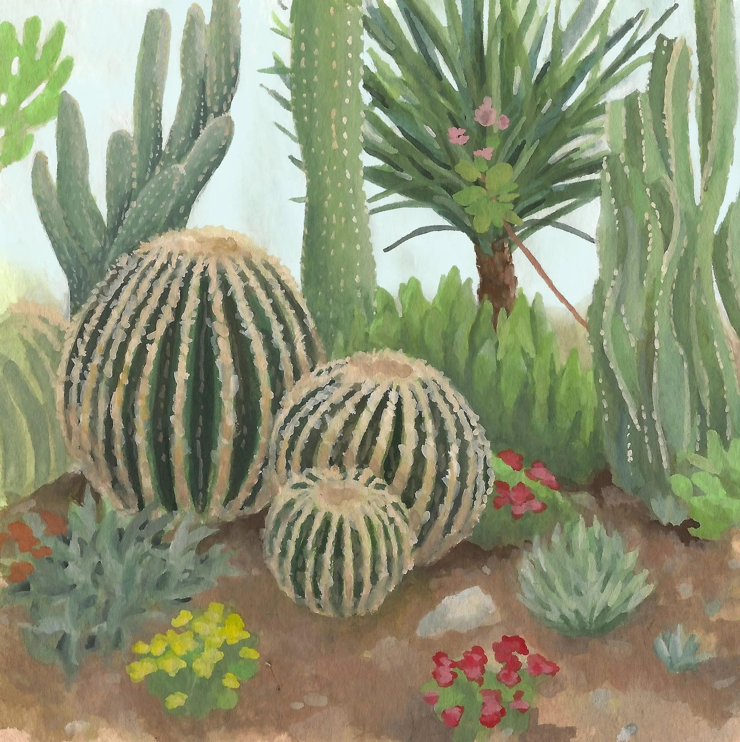 cacti 1.jpg