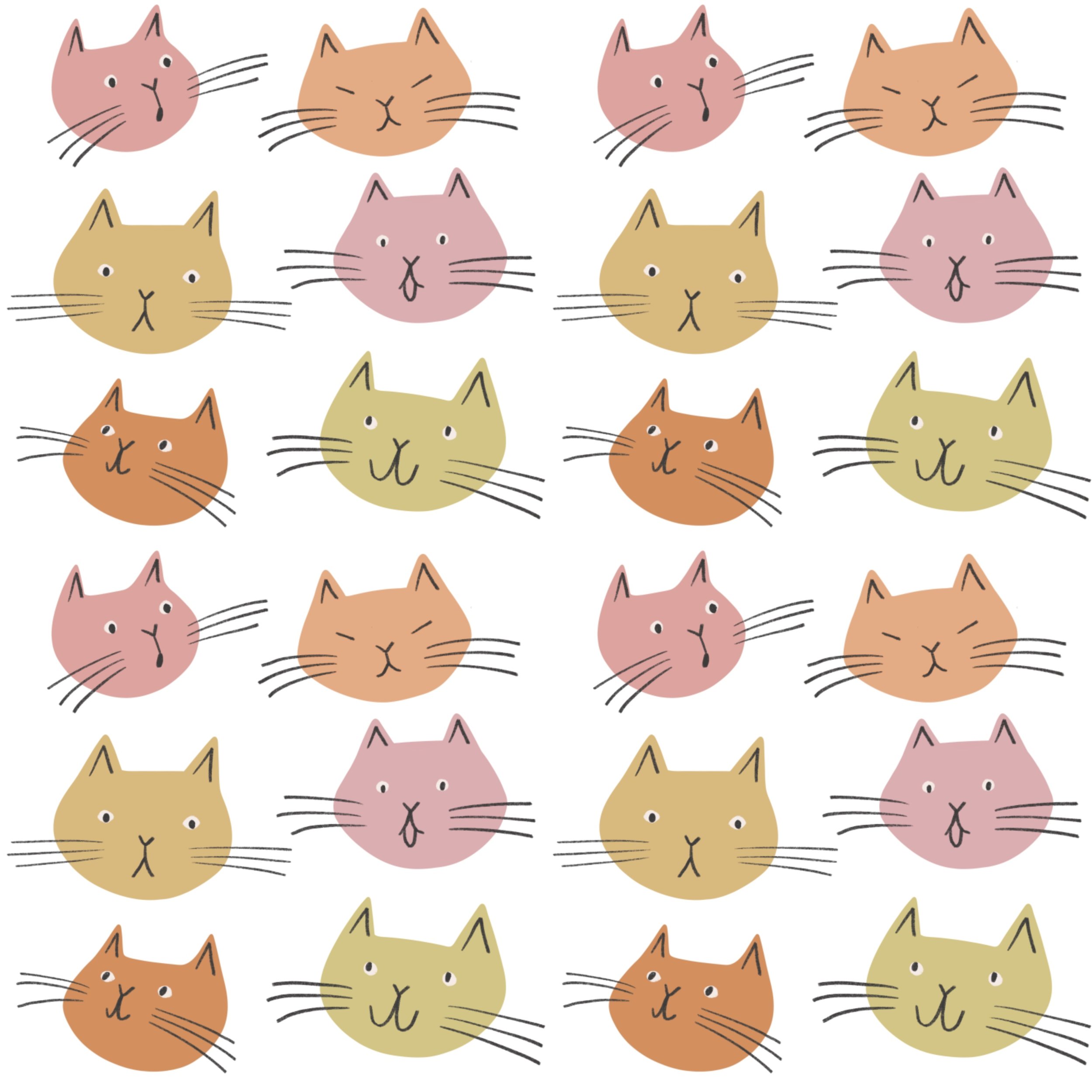 Kitty Faces.jpg