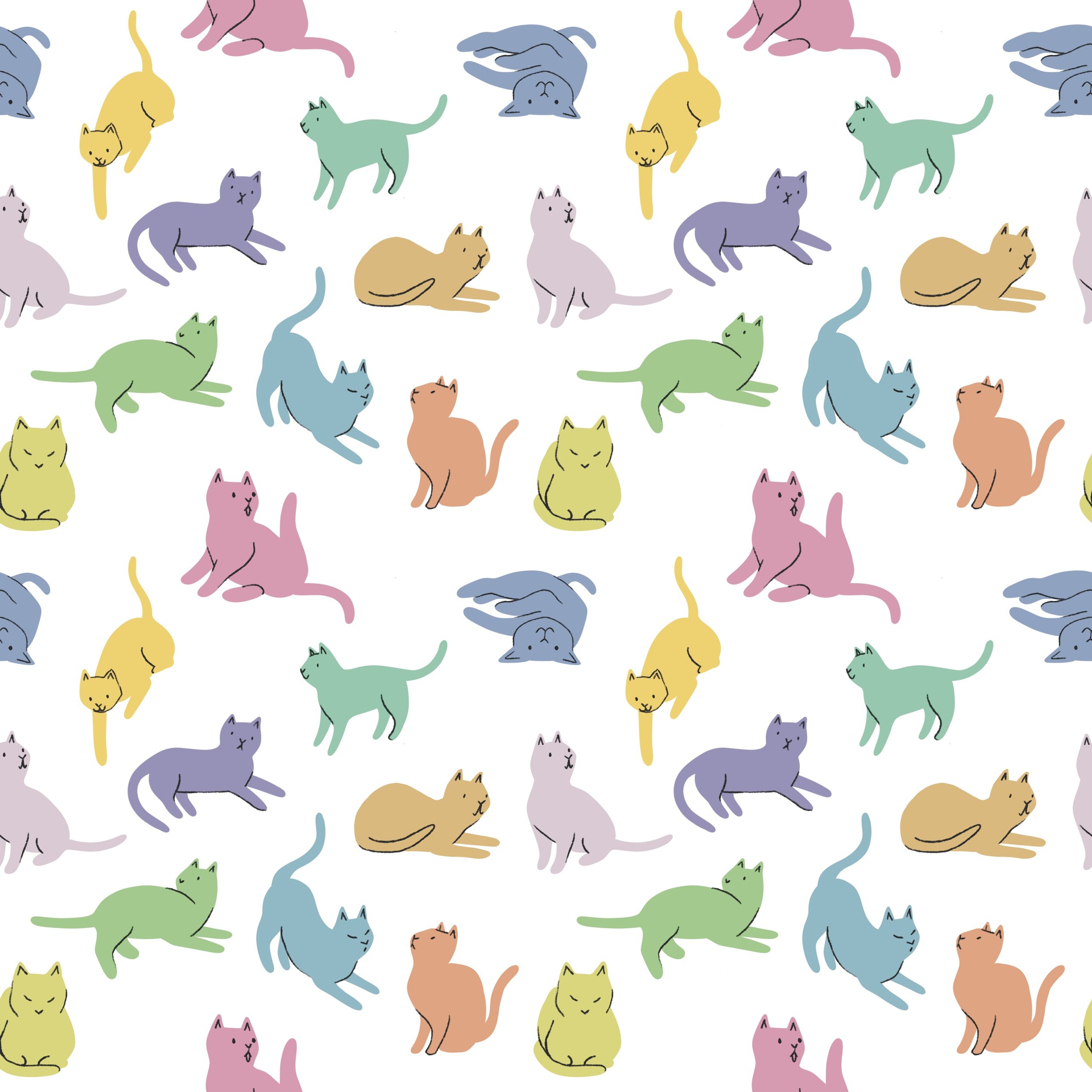 Rainbow Cats.jpg