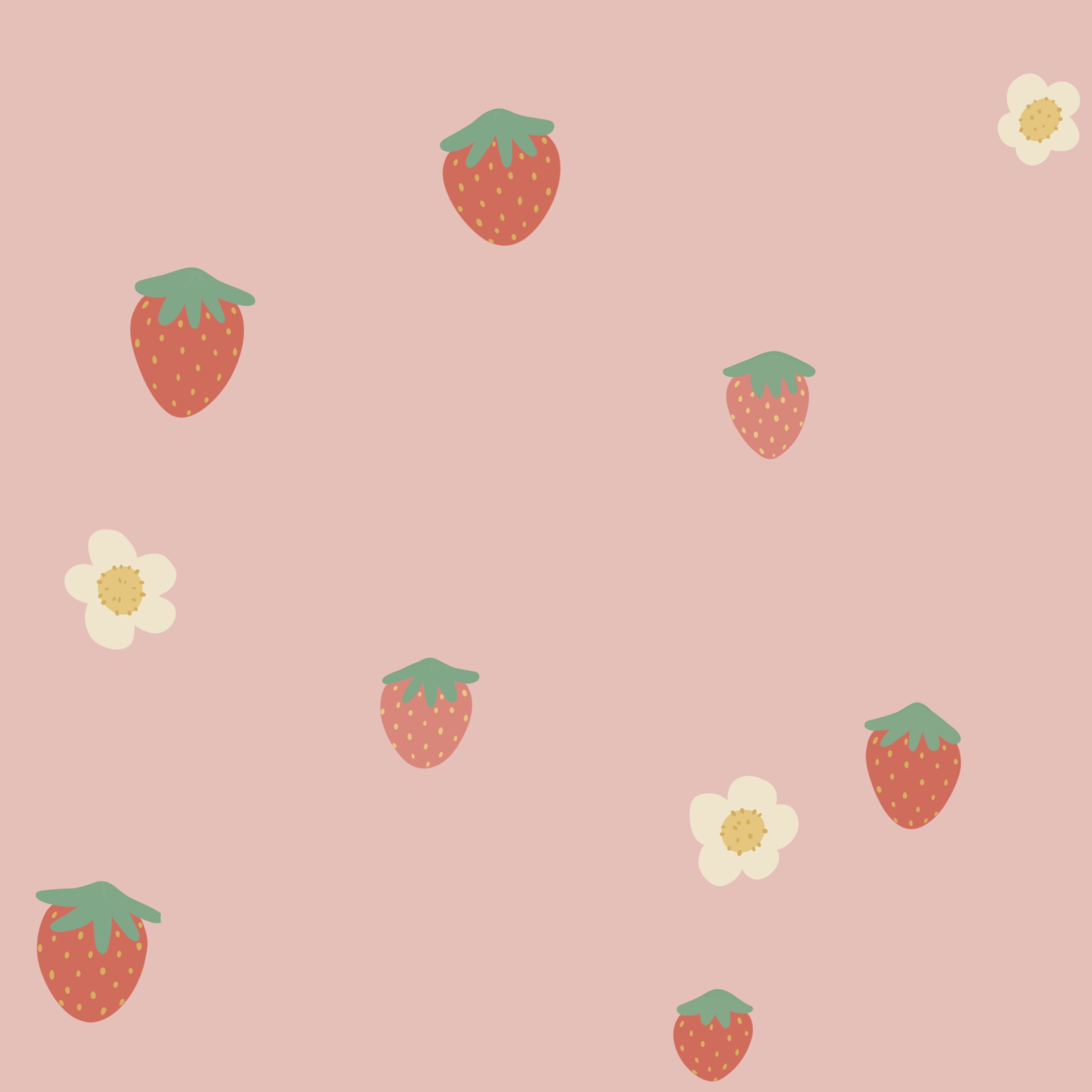 Strawbs3pink.jpg