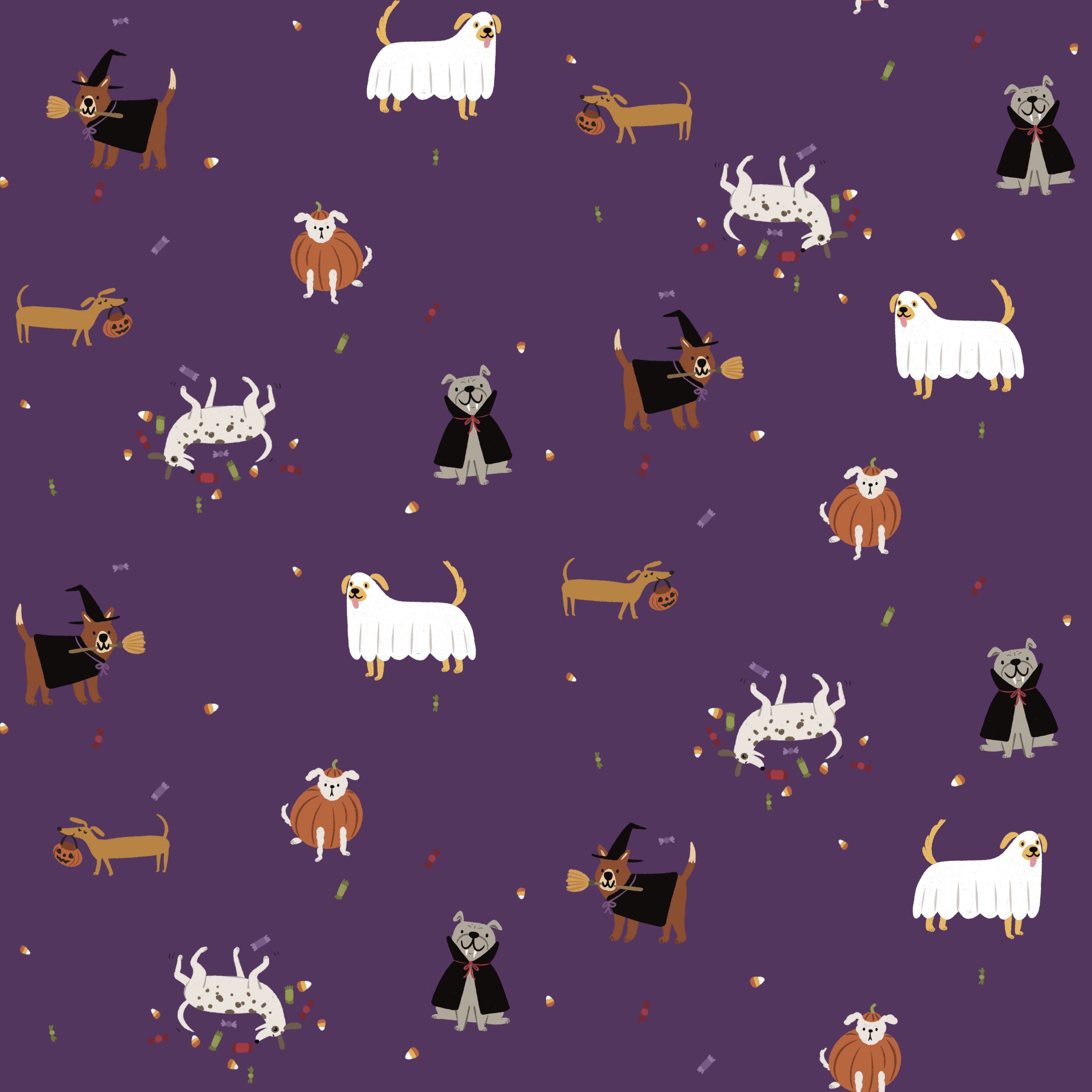 Halloween dogs.jpg