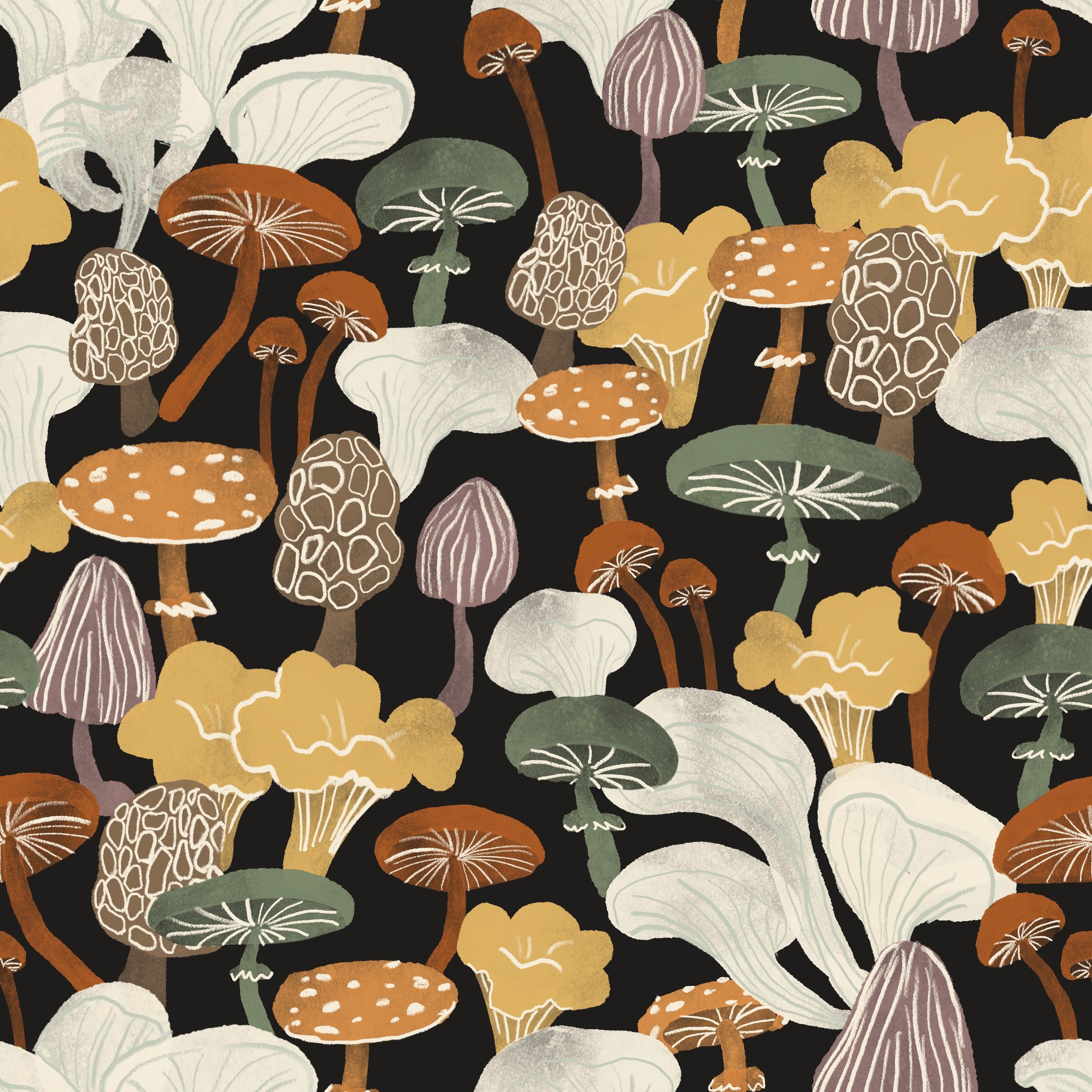 Mushrooms.jpg