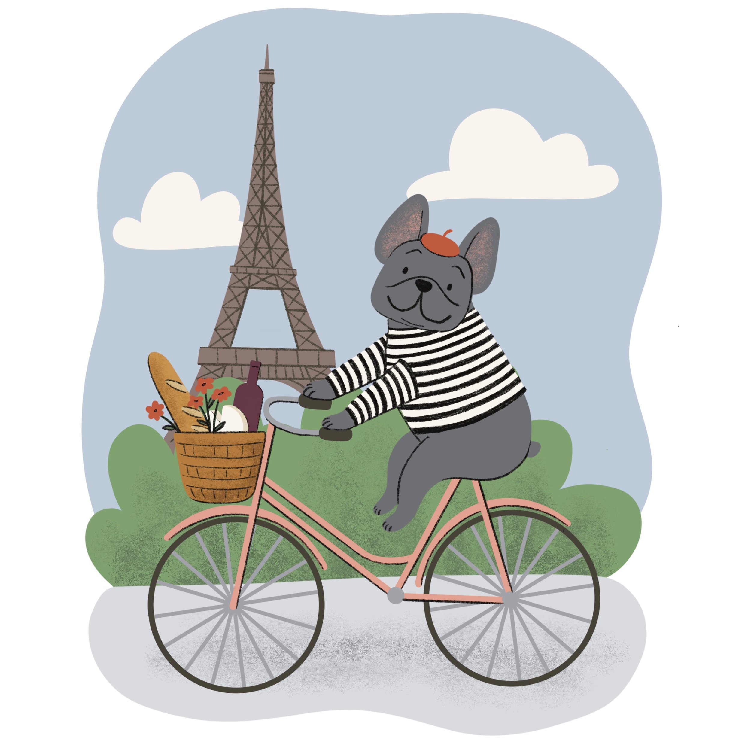 Frenchie.jpg