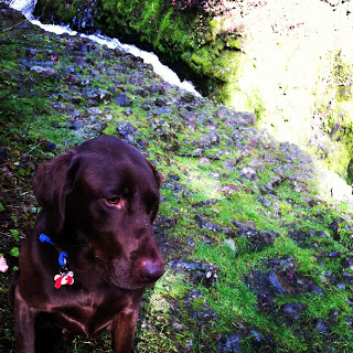 bob+waterfall.JPG