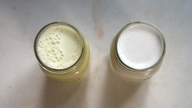 milk+jars.JPG
