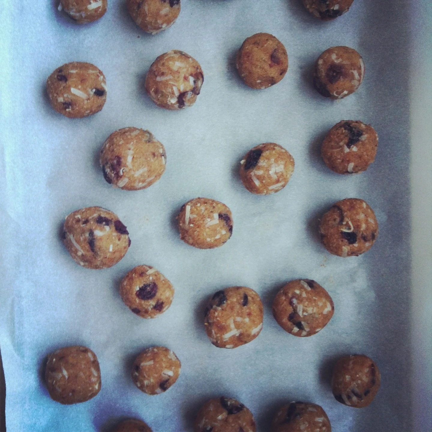 Raw Bites Cookie Sheet.JPG