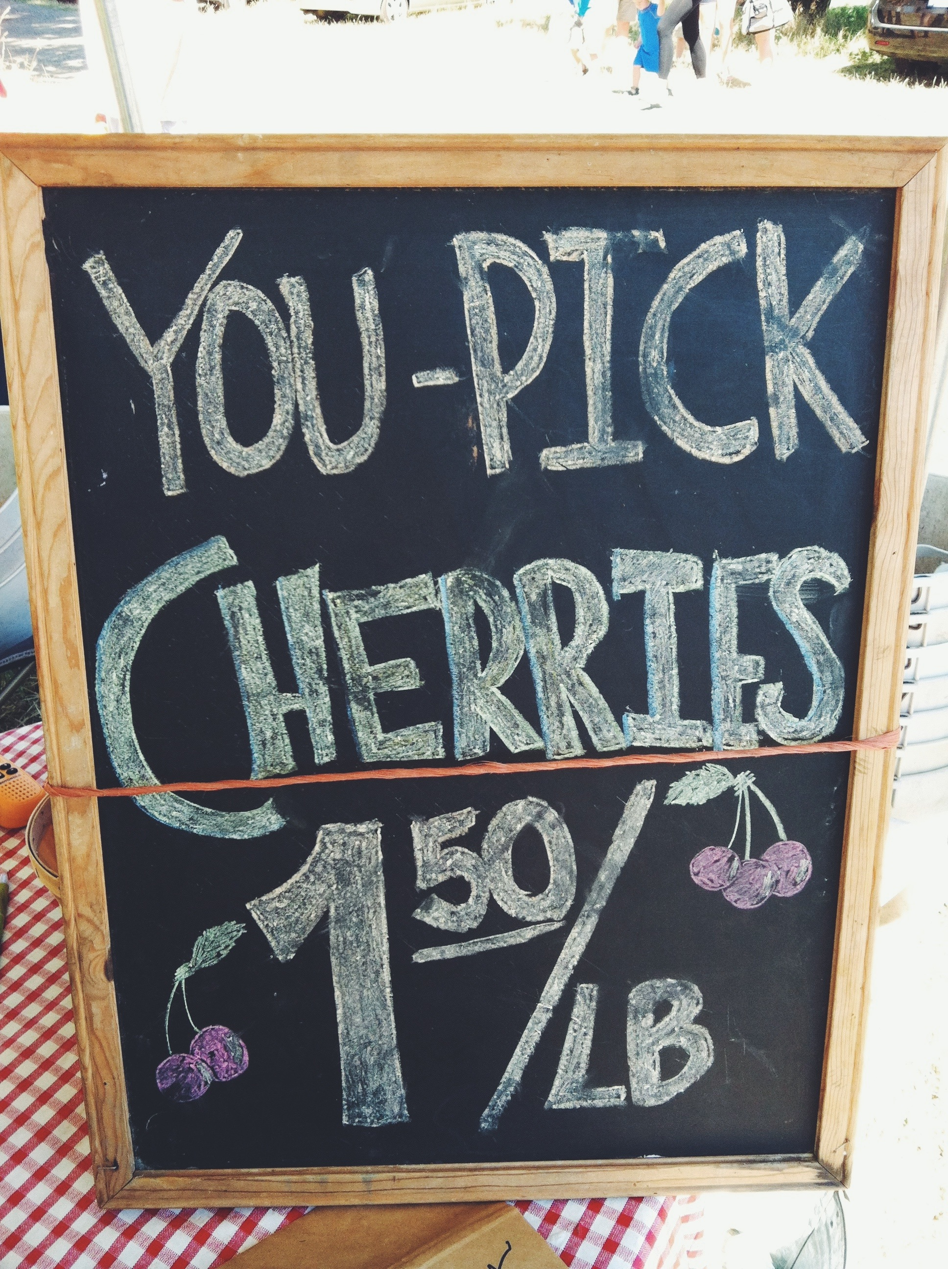 7.1 Cherry Sign.png