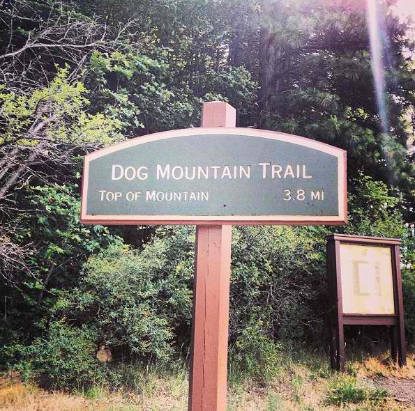 7.1 dog mountain sign.JPG