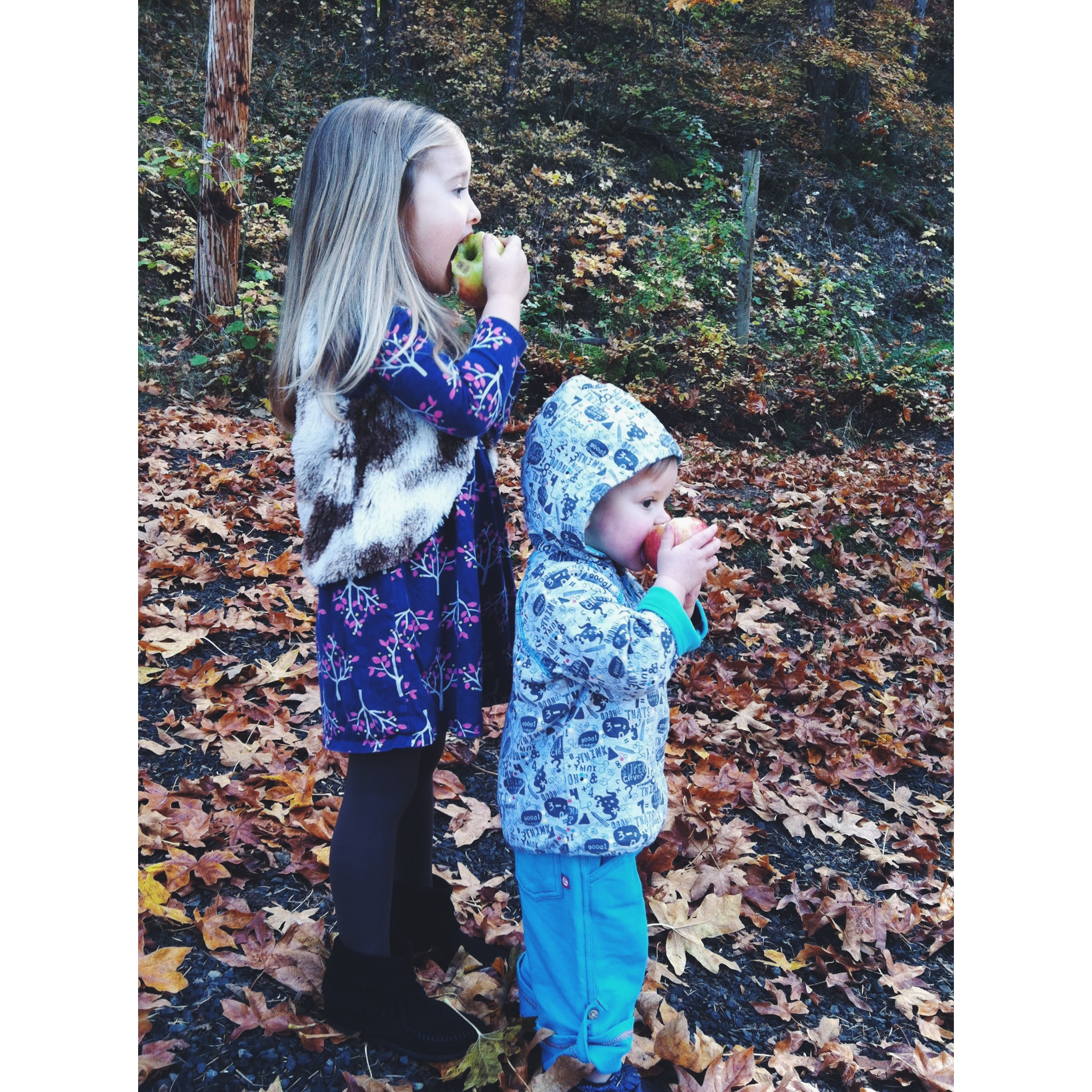 Kids Fall Activities // Zutano
