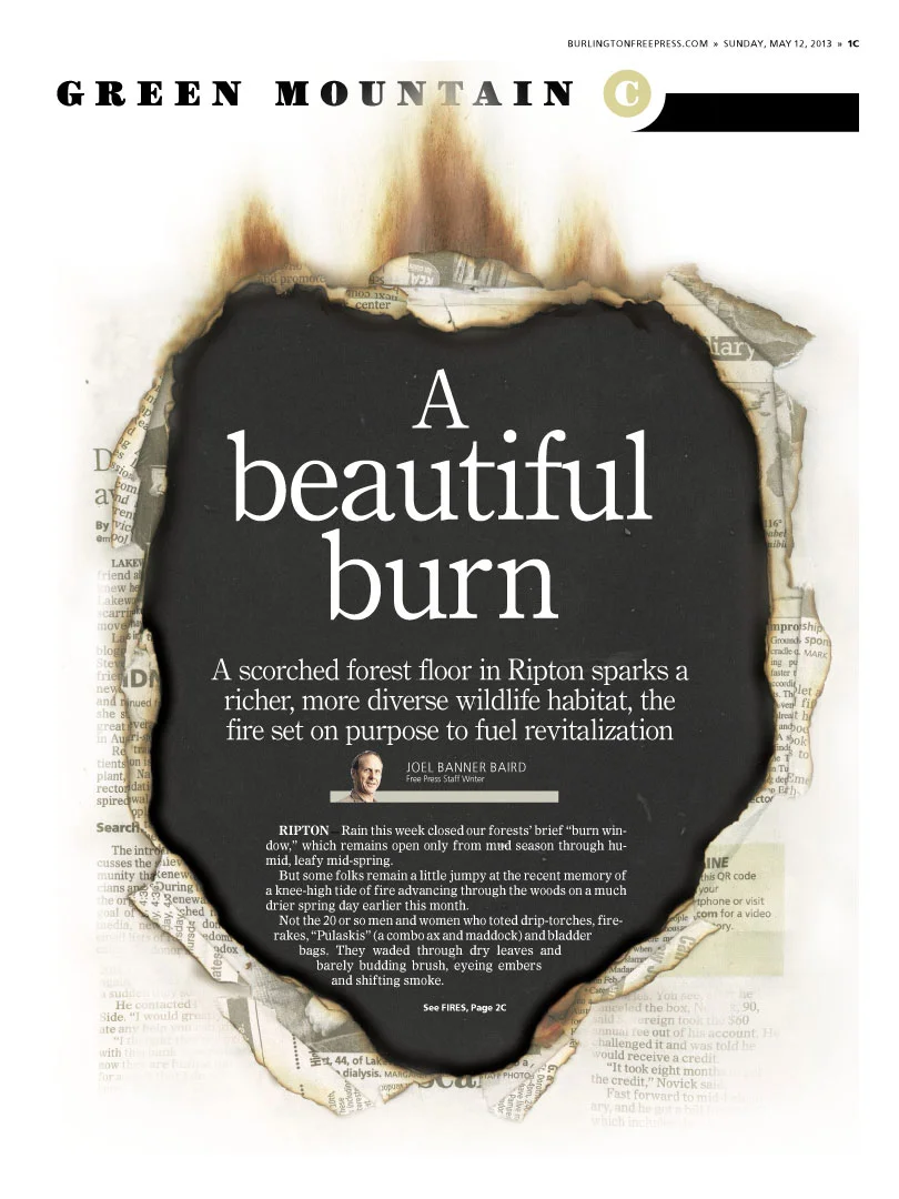 Beautiful-burn.jpg