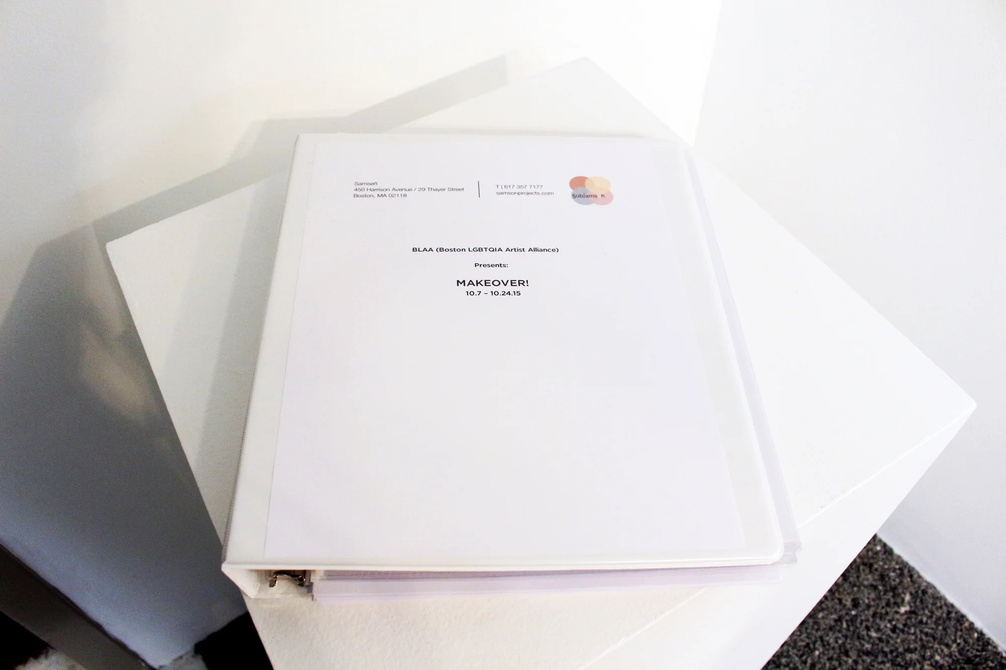 BLAA x Subsamson Makeover! show portfolio binder, featuring works of the exhibiting artists, 2015.