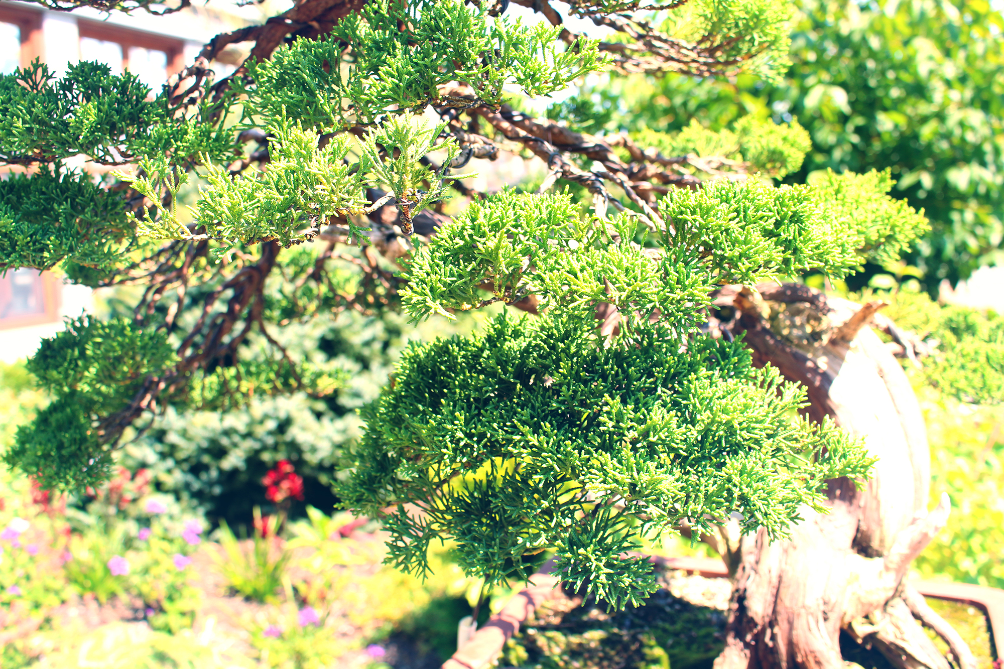 GeenaMatuson_TowerHillBotanicalGarden_05.jpg