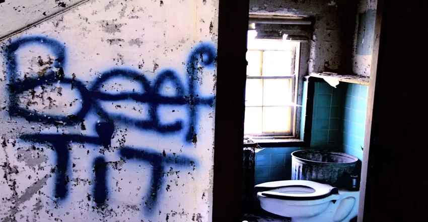 Still image from Reel Groovy Films' 'LSD BREAST ART PROPHECY' 2016.