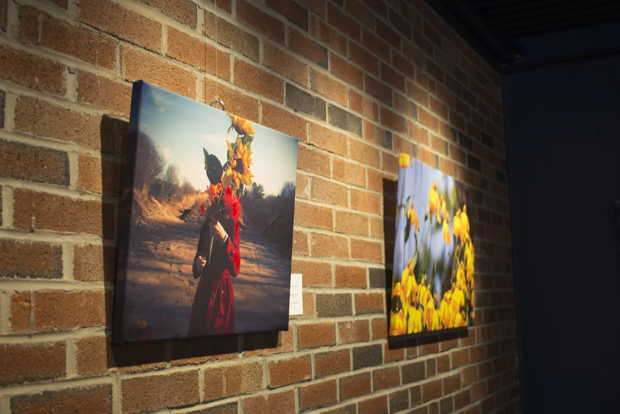 Photography by Geena Matuson (@geenamatuson) on display for her solo exhibition at Medfield TV Galleries, 2016.