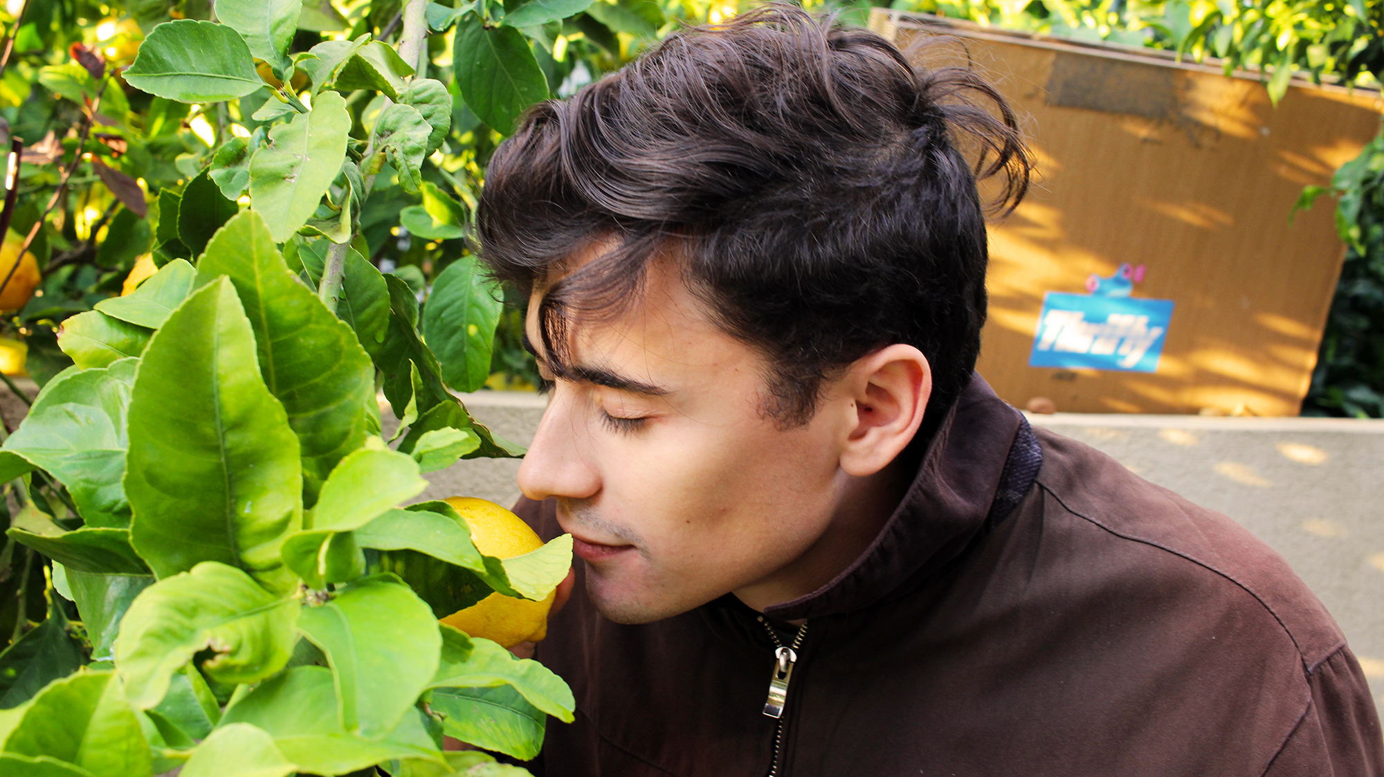Tristan appreciates a lemon in the backyard of Nir's family home in Hadera, celebrating the second night of Hanukkah with Shorashim Israel, 2016.