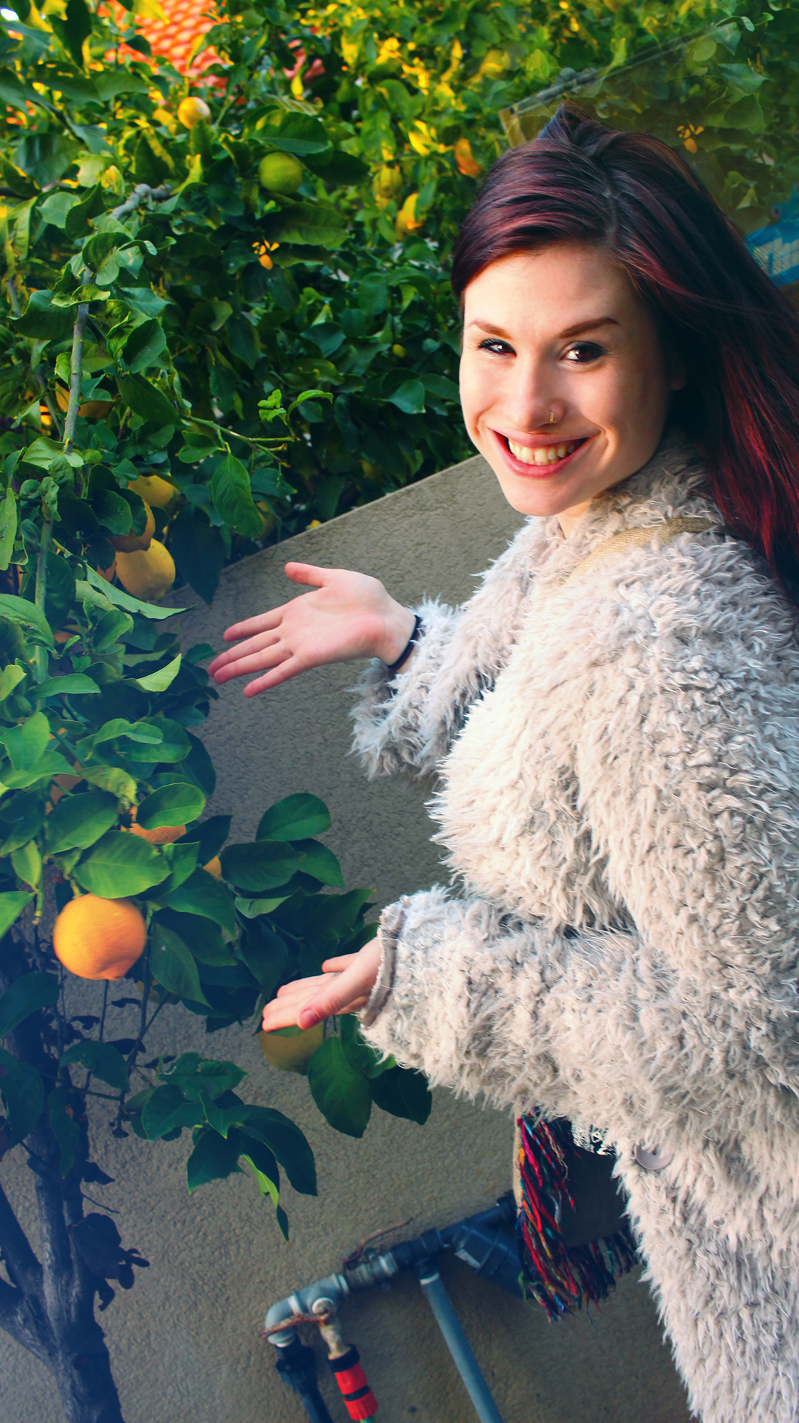 Jessica showcases oranges in the backyard of Nir's family home in Hadera, celebrating the second night of Hanukkah with Shorashim Israel, 2016.