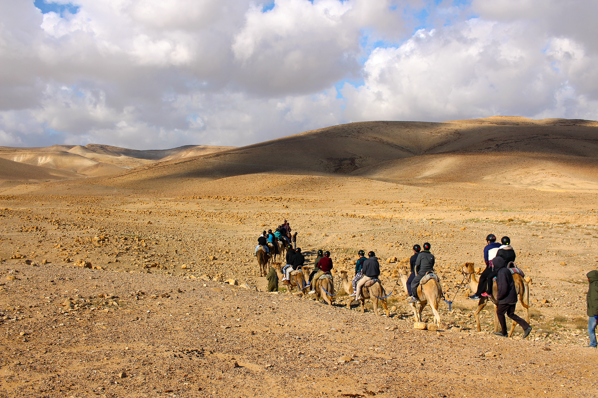 Group camel ride through Israel's Negev Desert with Shorashim #Bus636, December 2016. Camel ride through the Negev Desert, Israel. Travel photography by Geena Matuson @geenamatuson #thegirlmirage.