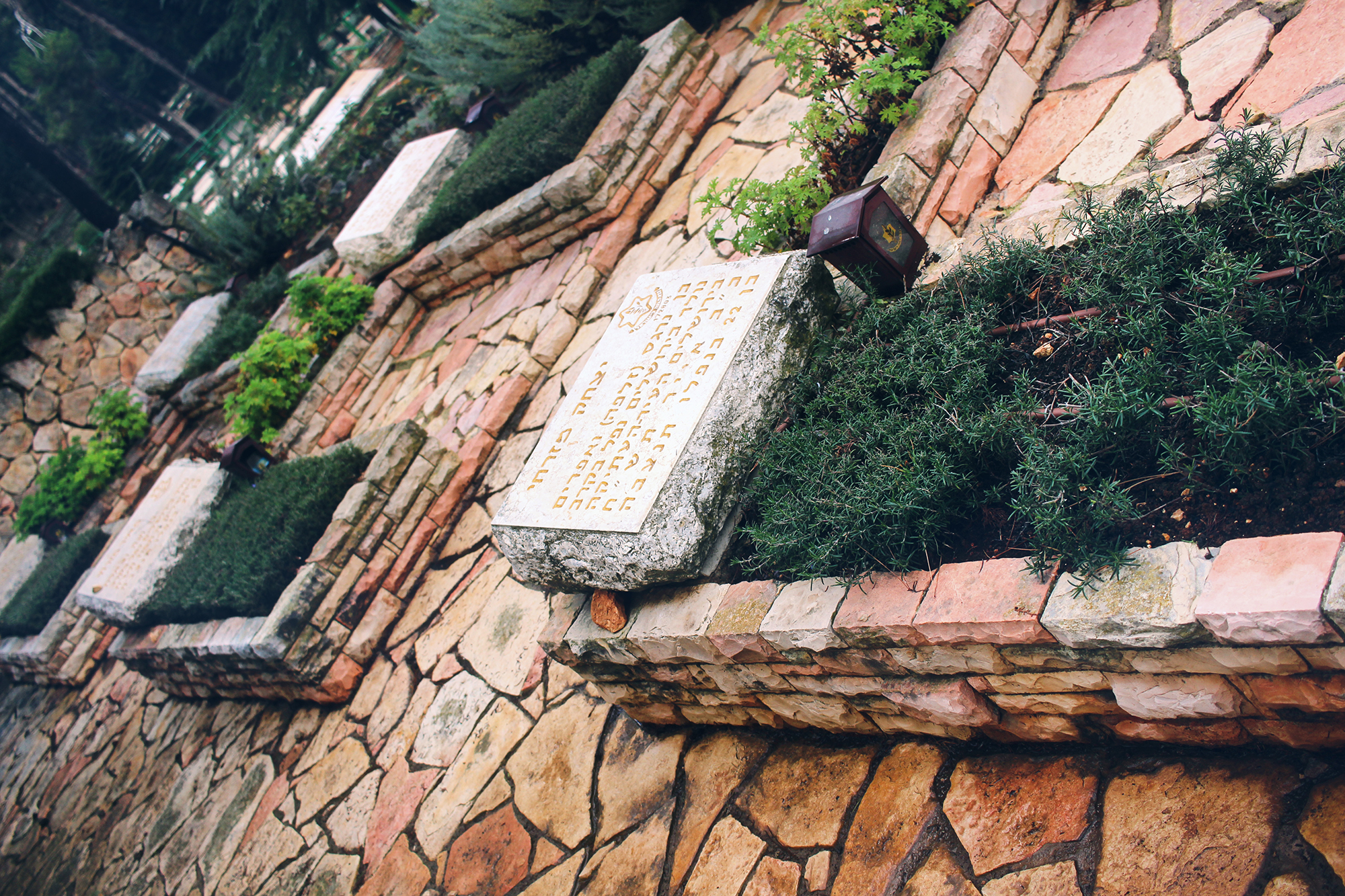 Har Herzl, Israel. Photography by Geena Matuson @geenamatuson #thegirlmirage.