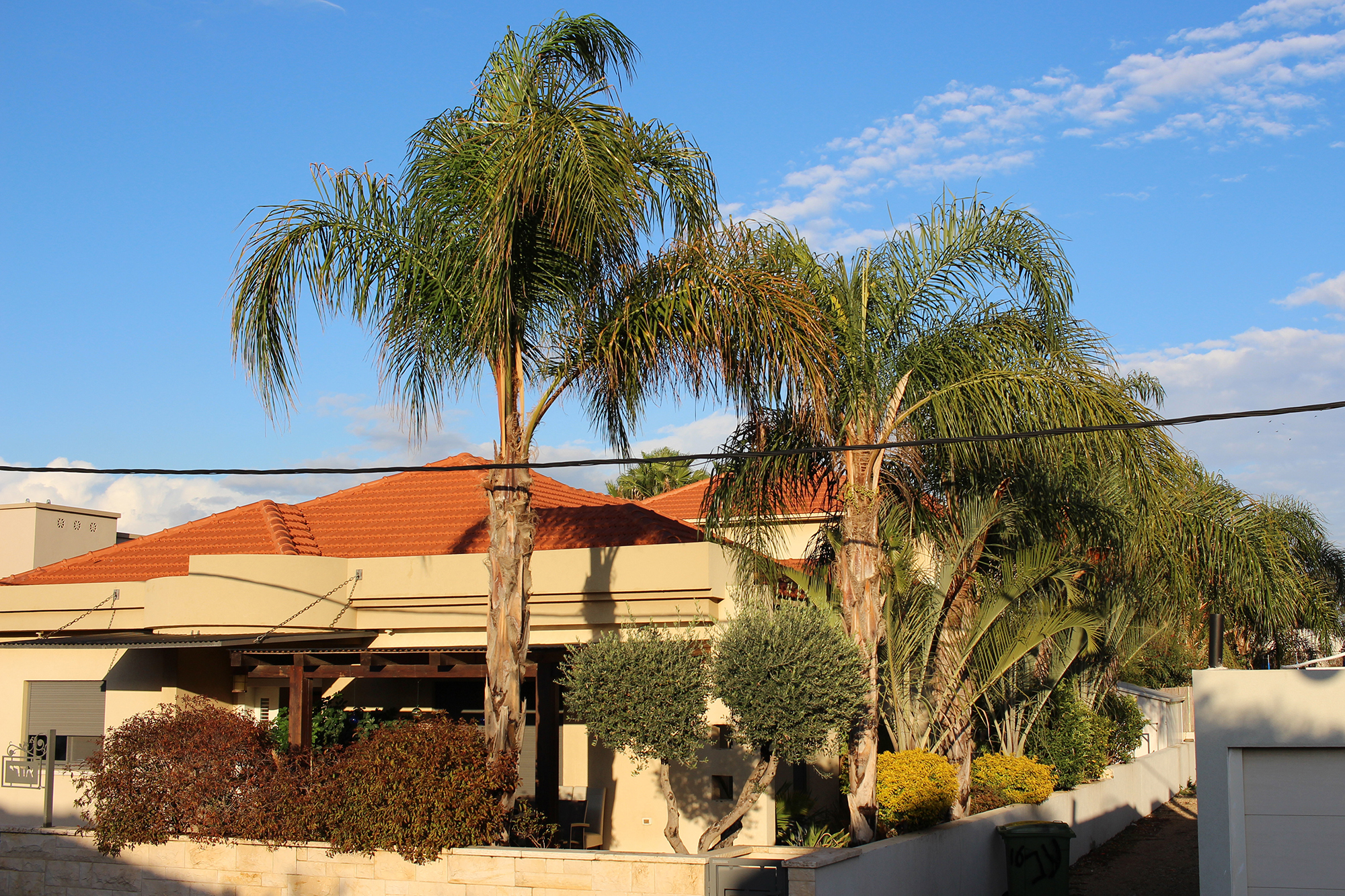 Visiting a neighborhood in Hadera. Travel photography by Geena Matuson @geenamatuson #thegirlmirage.
