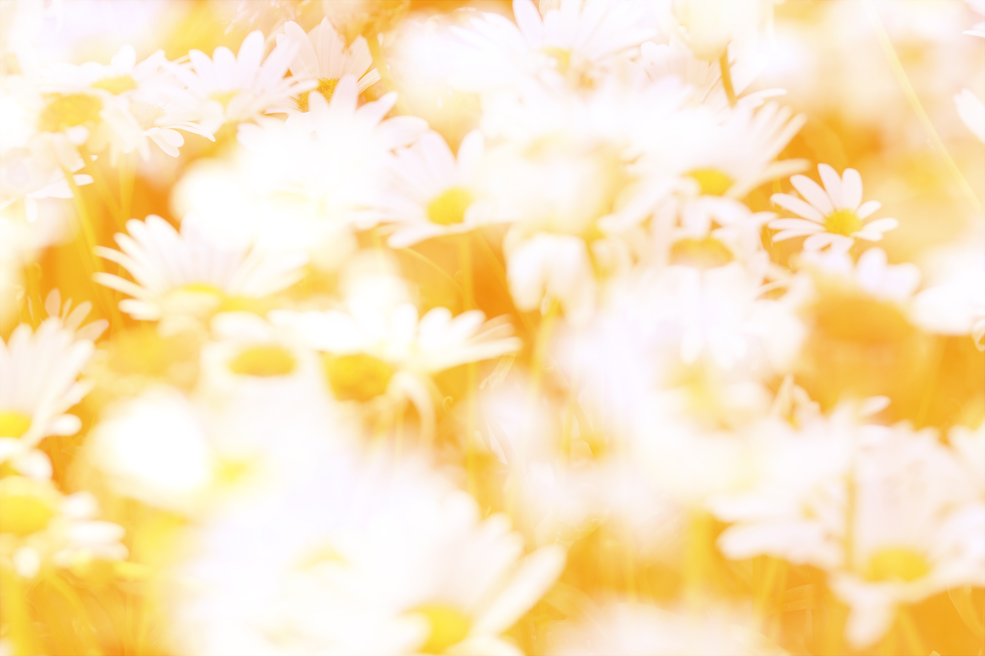 GeenaMatuson_TowerHillBotanicalGarden_20.jpg