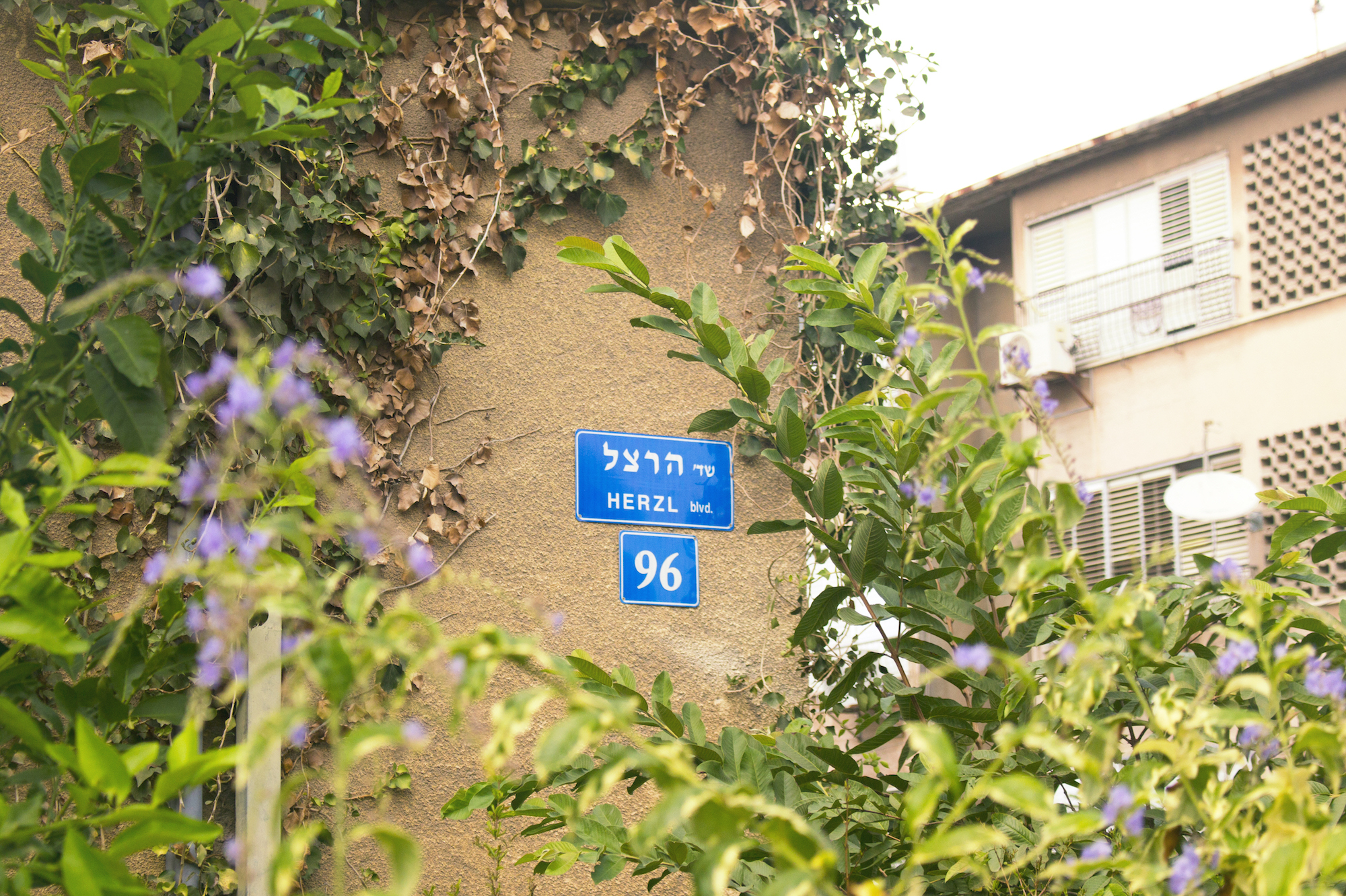 Photography part of series taken in Rishon LeZion, Israel by 'The Girl Mirage' Geena Matuson @geenamatuson, 2017.