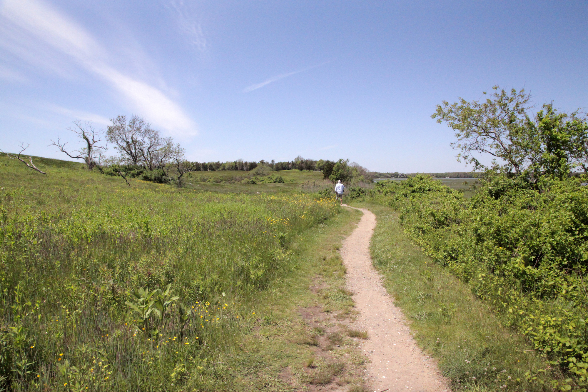 A hike through Cape Cod, MA, USA / #Travel photography by Geena Matuson @geenamatuson #thegirlmirage.