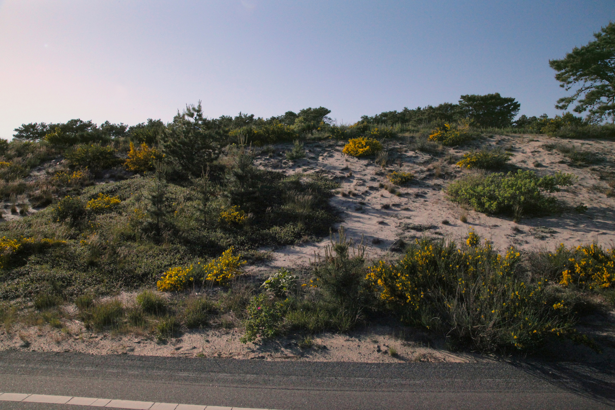 Cape Cod, MA, USA / #Travel photography by Geena Matuson @geenamatuson #thegirlmirage.