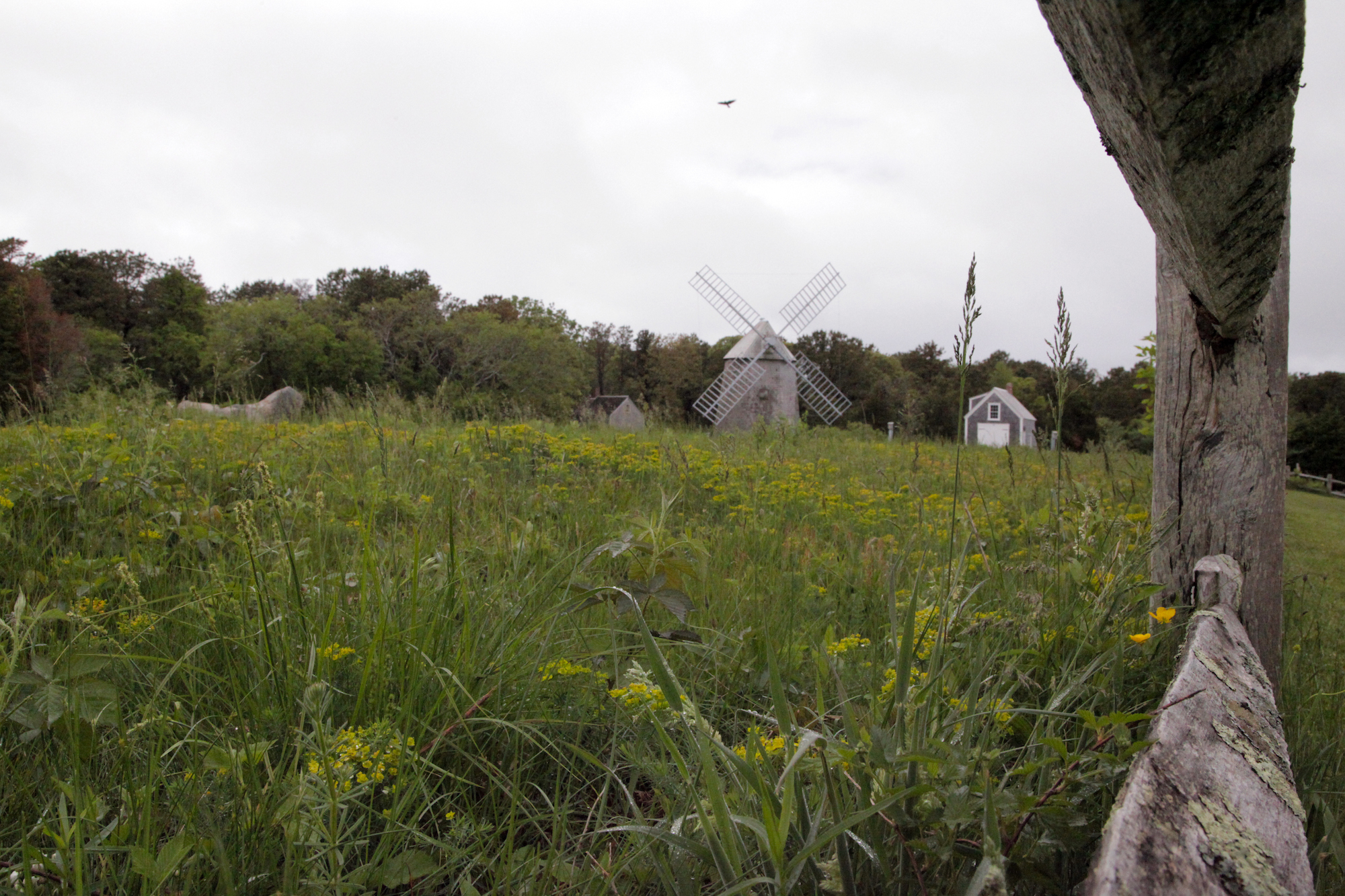 Cape Cod, MA, USA / #Travel photography by Geena Matuson @geenamatuson #thegirlmirage.