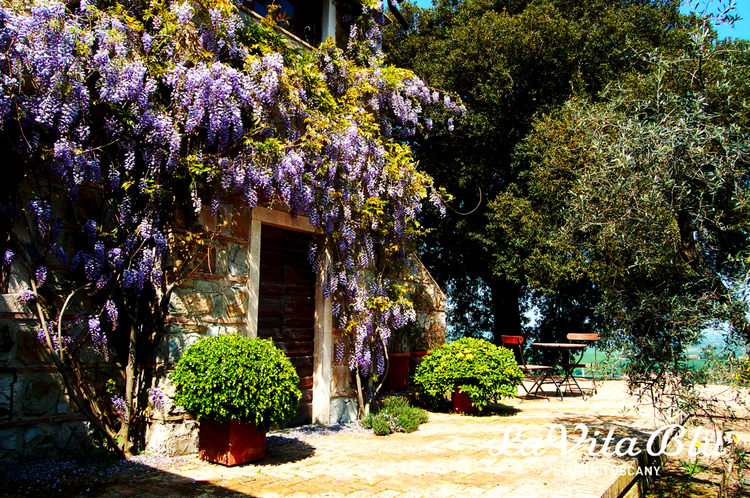 Villa+Toscana+til+salgs+LaVitaBlu++14.jpeg