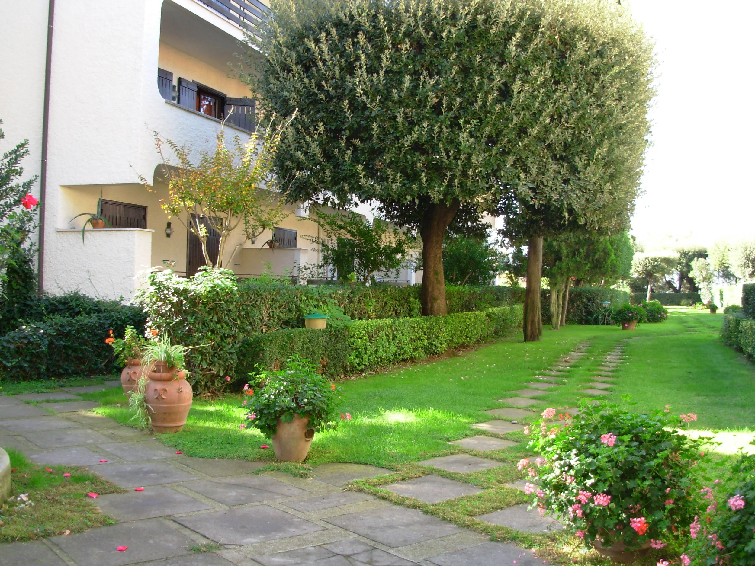 DSCN1236.JPG