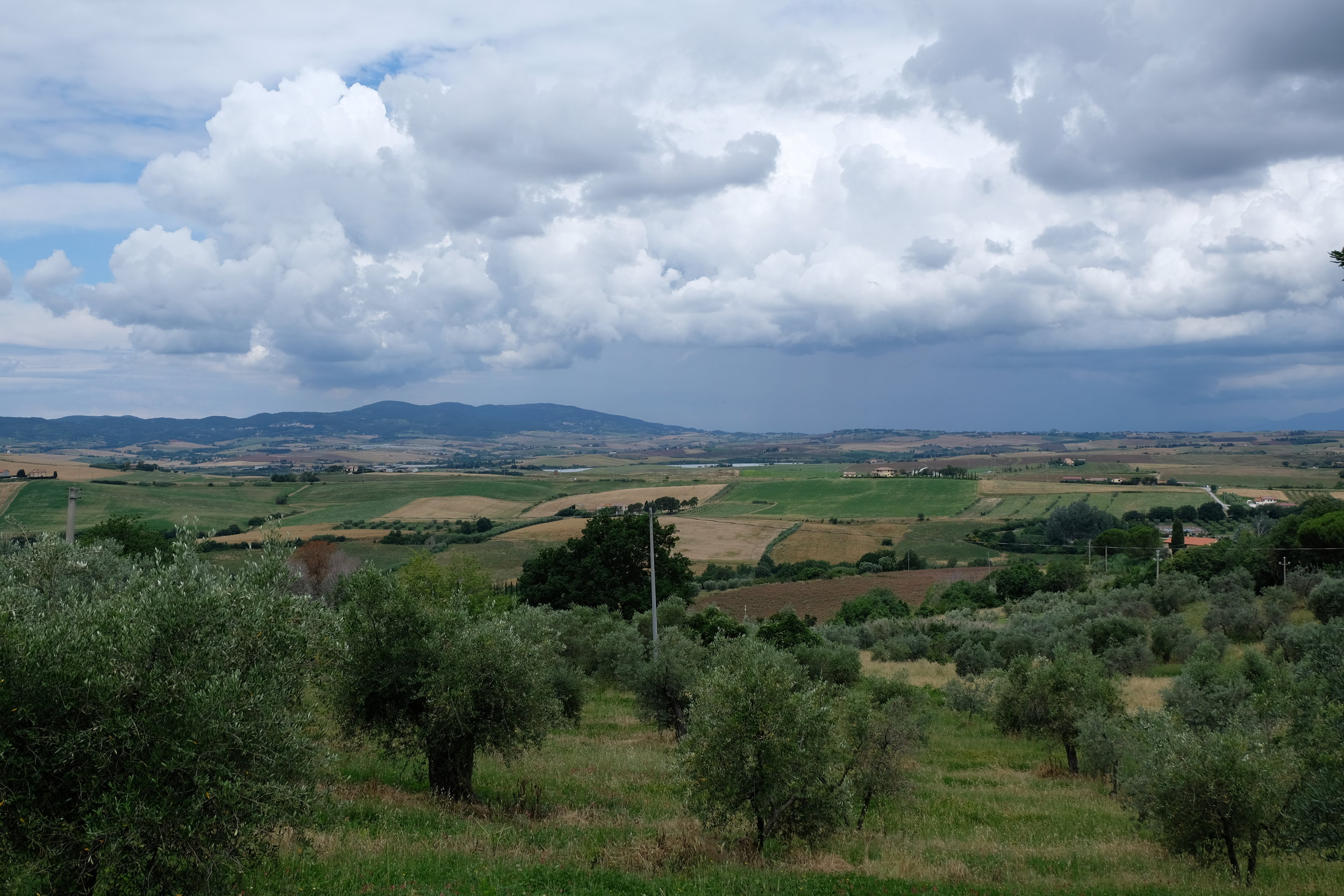 DSCF7801.JPG