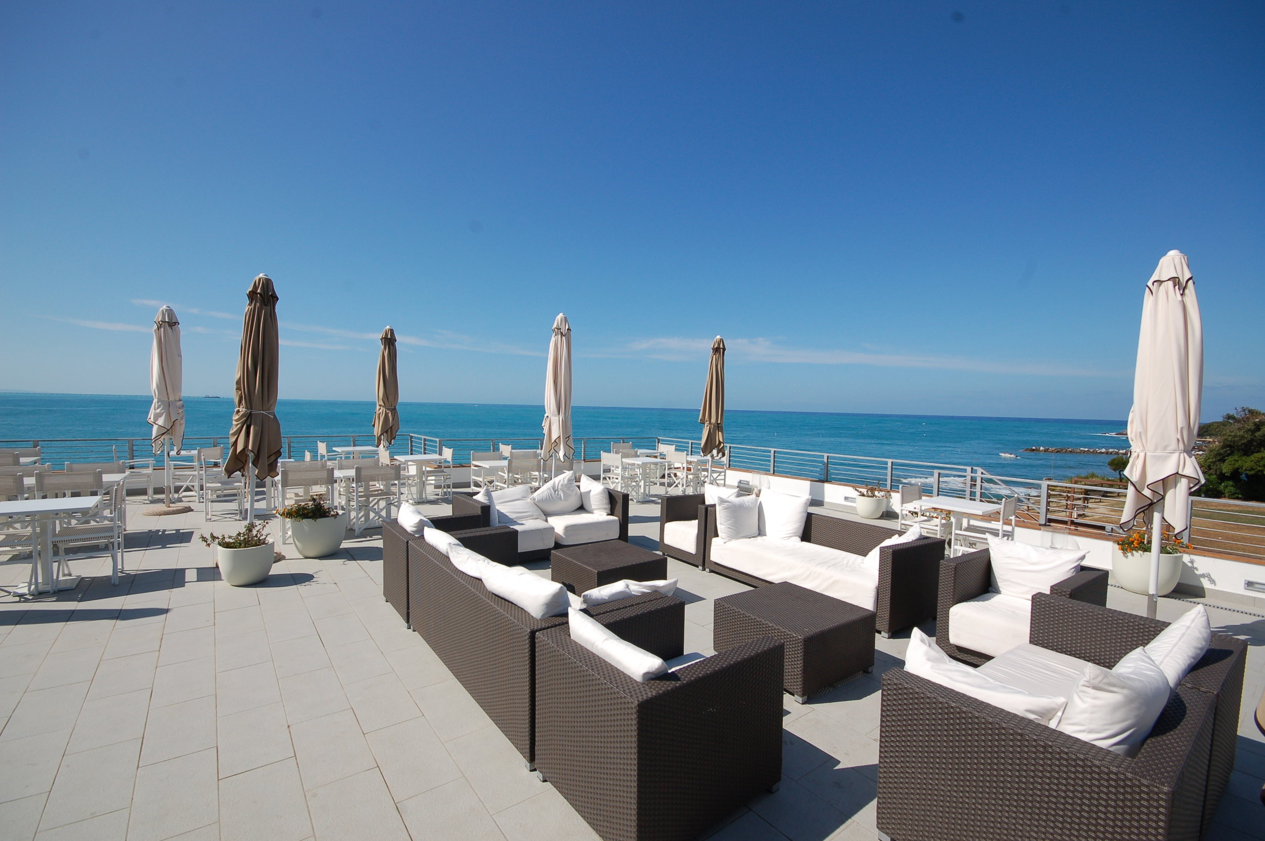 Cardellino DSC_0036.JPG